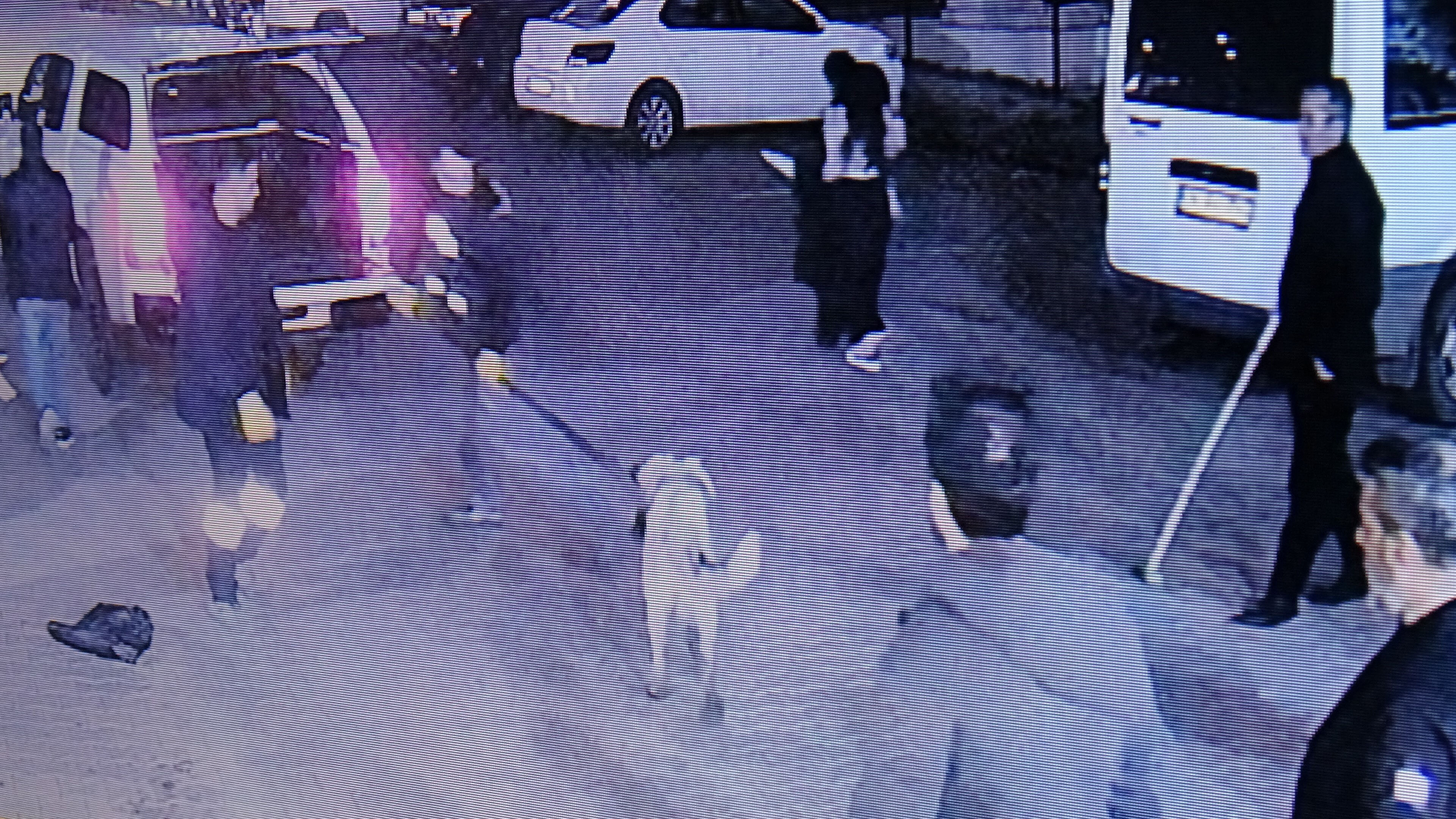 Sitede başıboş köpek dehşeti! Önce çocuğa, sonra 2 kişiye daha saldırdı - 1. Resim