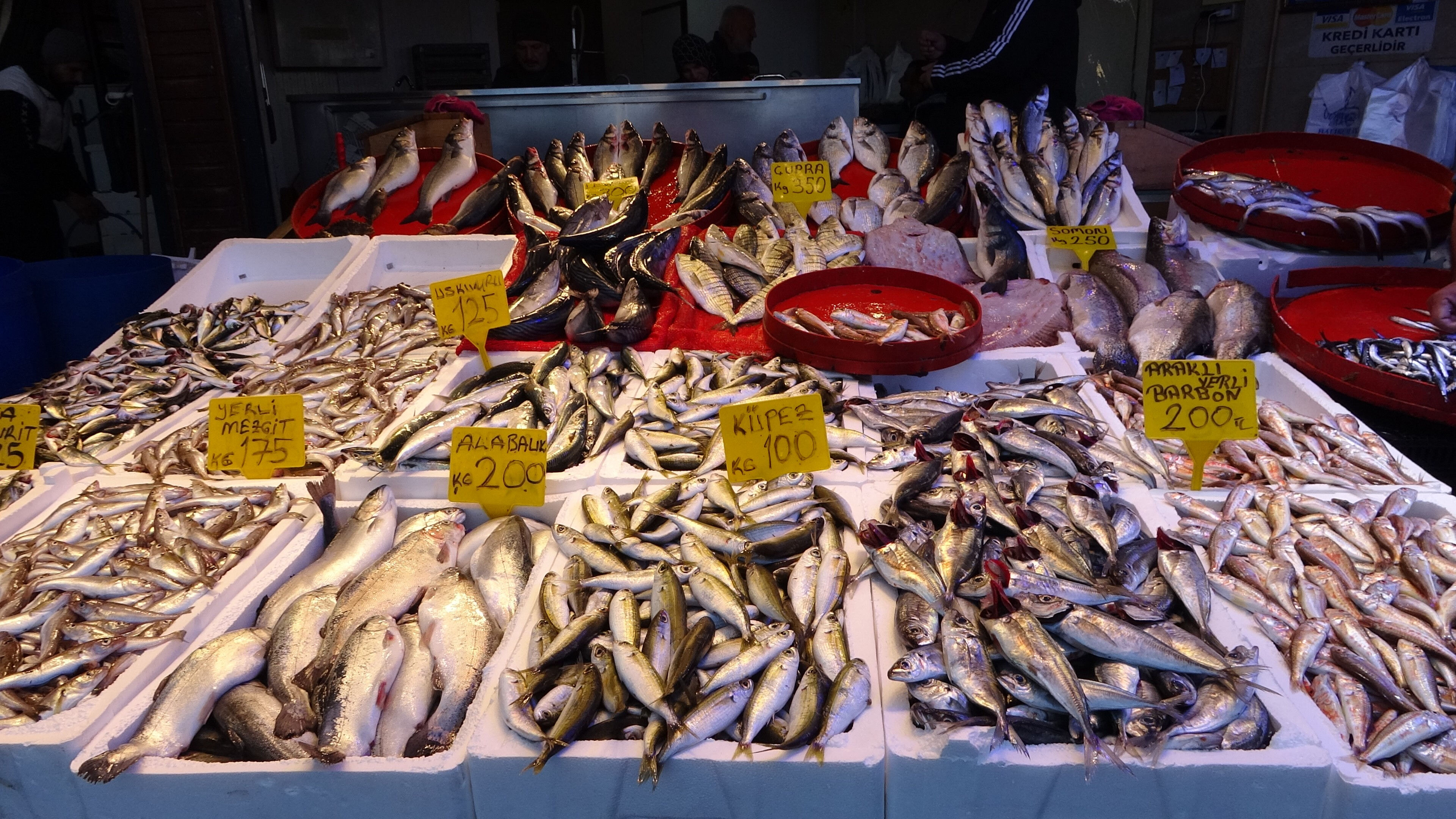 Tezgahların en ucuz balığı! Kilosu 100 liradan satılıyor Tezgahların en ucuz balığı! Kilosu 100 liradan satılıyor - 1. Resim