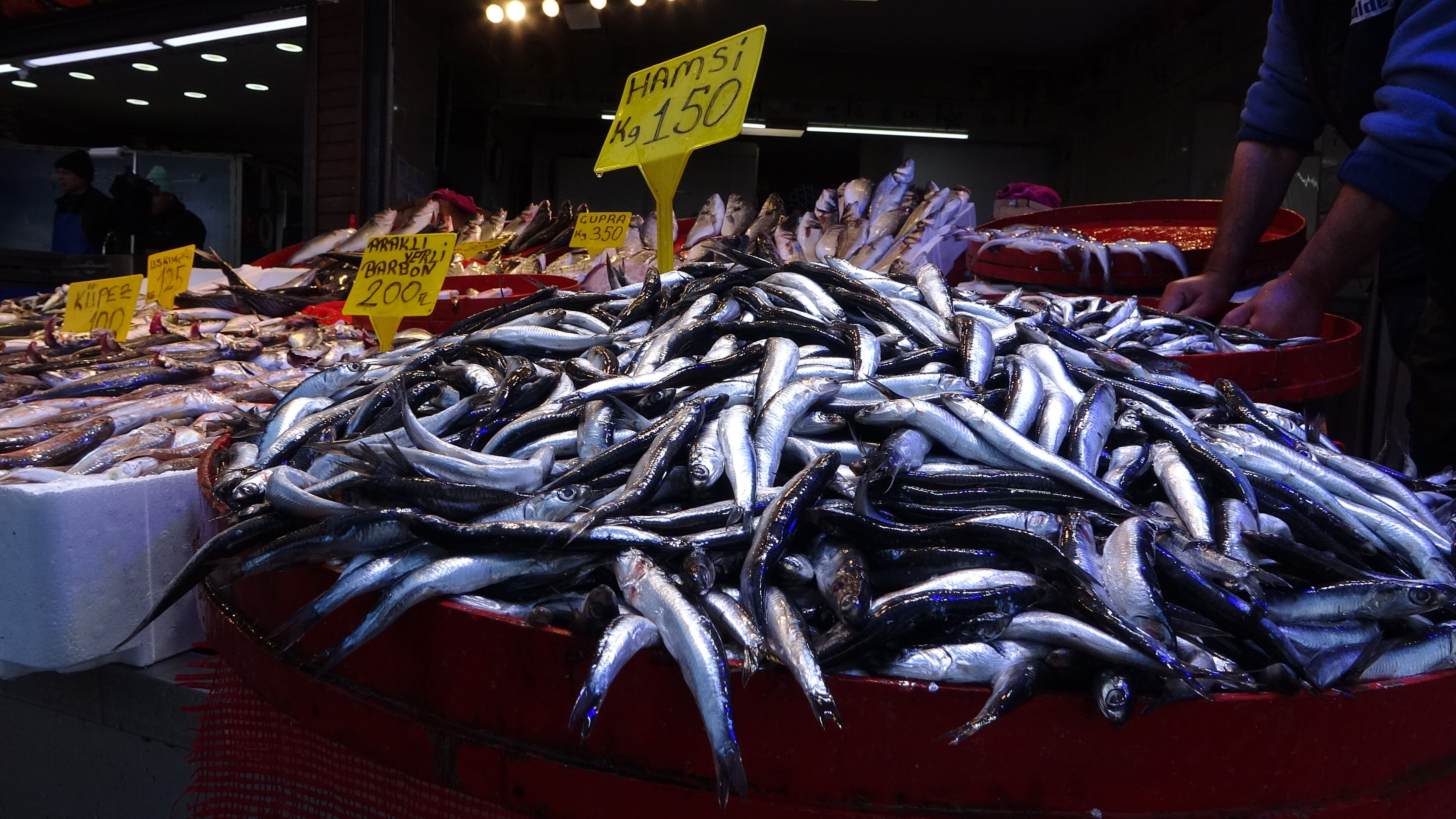 Tezgahların en ucuz balığı! Kilosu 100 liradan satılıyor Tezgahların en ucuz balığı! Kilosu 100 liradan satılıyor - 2. Resim