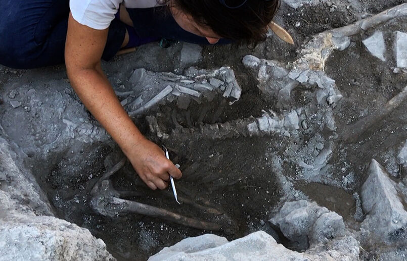 Ege'deki volkanik patlamanın izleri! Santorini'de yaşananların kalıntıları Çeşme'de - 3. Resim