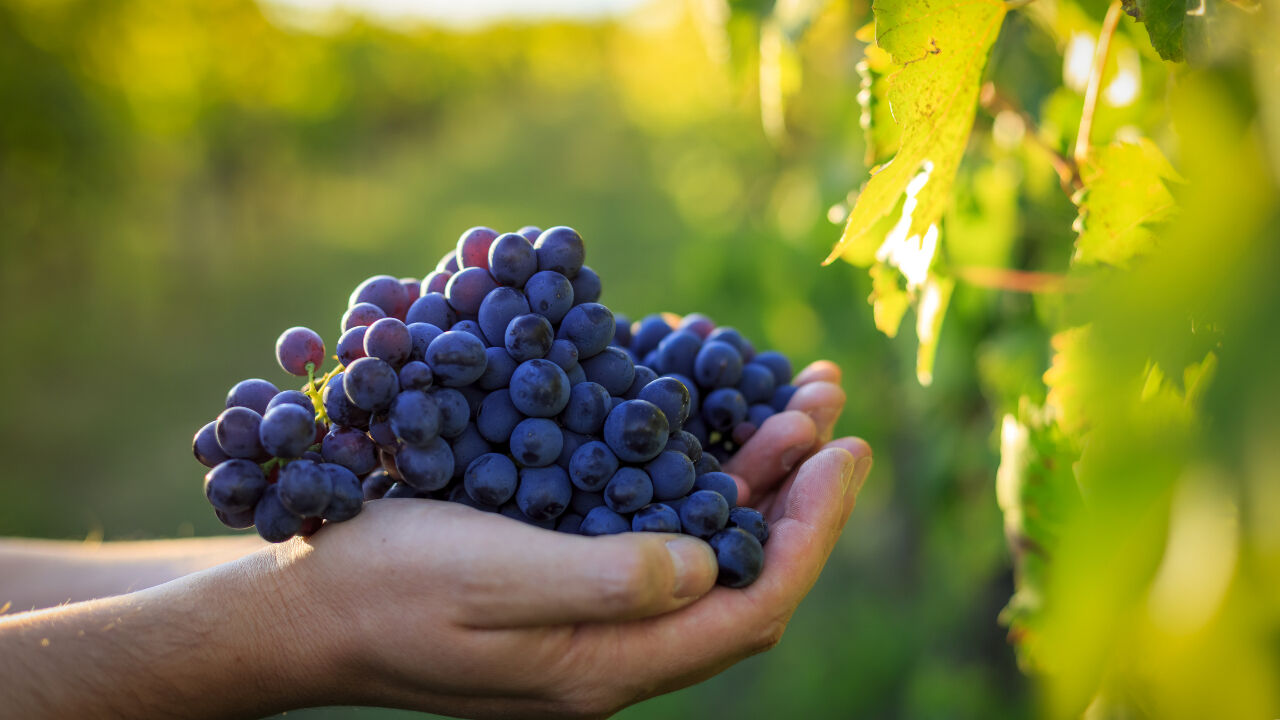 Cemre ne zaman düşüyor, ilk cemre düştü mü? 2025 birinci, ikinci ve üçüncü cemre düşme tarihleri Cemre ne zaman düşüyor, ilk cemre düştü mü? 2025 birinci, ikinci ve üçüncü cemre düşme tarihleri - 4. Resim