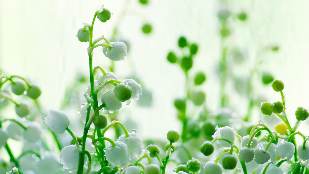 Cemre ne zaman düşüyor, ilk cemre düştü mü? 2025 birinci, ikinci ve üçüncü cemre düşme tarihleri Cemre ne zaman düşüyor, ilk cemre düştü mü? 2025 birinci, ikinci ve üçüncü cemre düşme tarihleri - 2. Resim