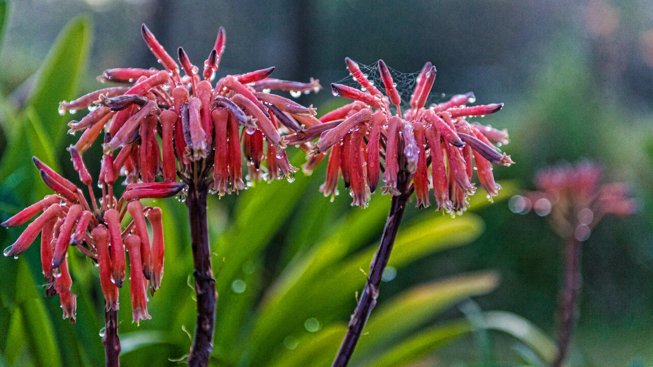 Cemre ne zaman düşüyor, ilk cemre düştü mü? 2025 birinci, ikinci ve üçüncü cemre düşme tarihleri Cemre ne zaman düşüyor, ilk cemre düştü mü? 2025 birinci, ikinci ve üçüncü cemre düşme tarihleri - 3. Resim