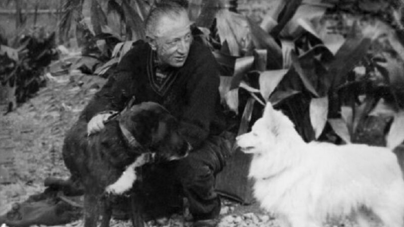 Sait Faik Abasıyanık kısaca hayatı, eserleri ve günümüze etkisi - 6. Resim