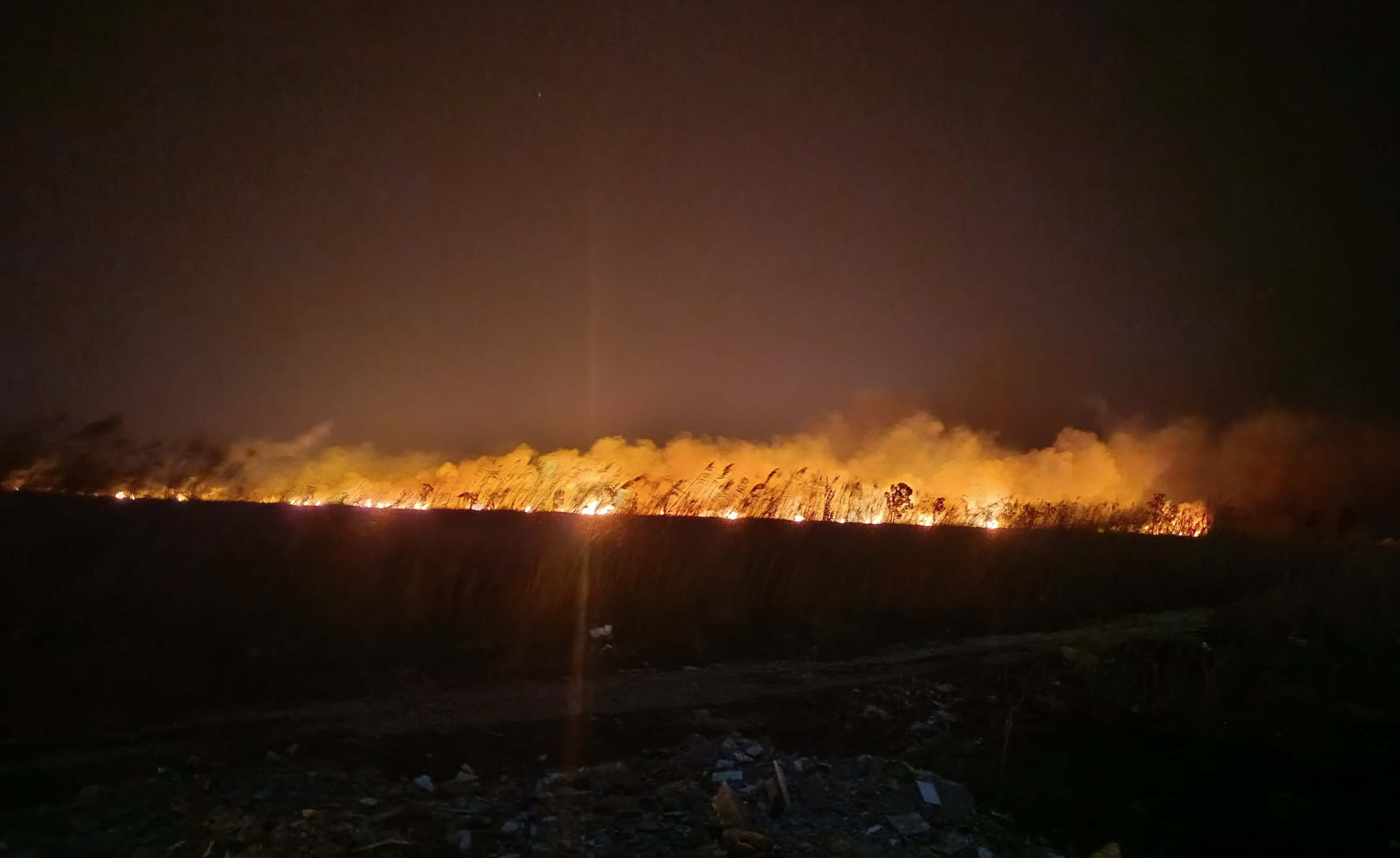 Kuş cenneti Göksu Deltası cayır cayır yanıyor, itfaiye alevlere müdahale edemiyor - 1. Resim
