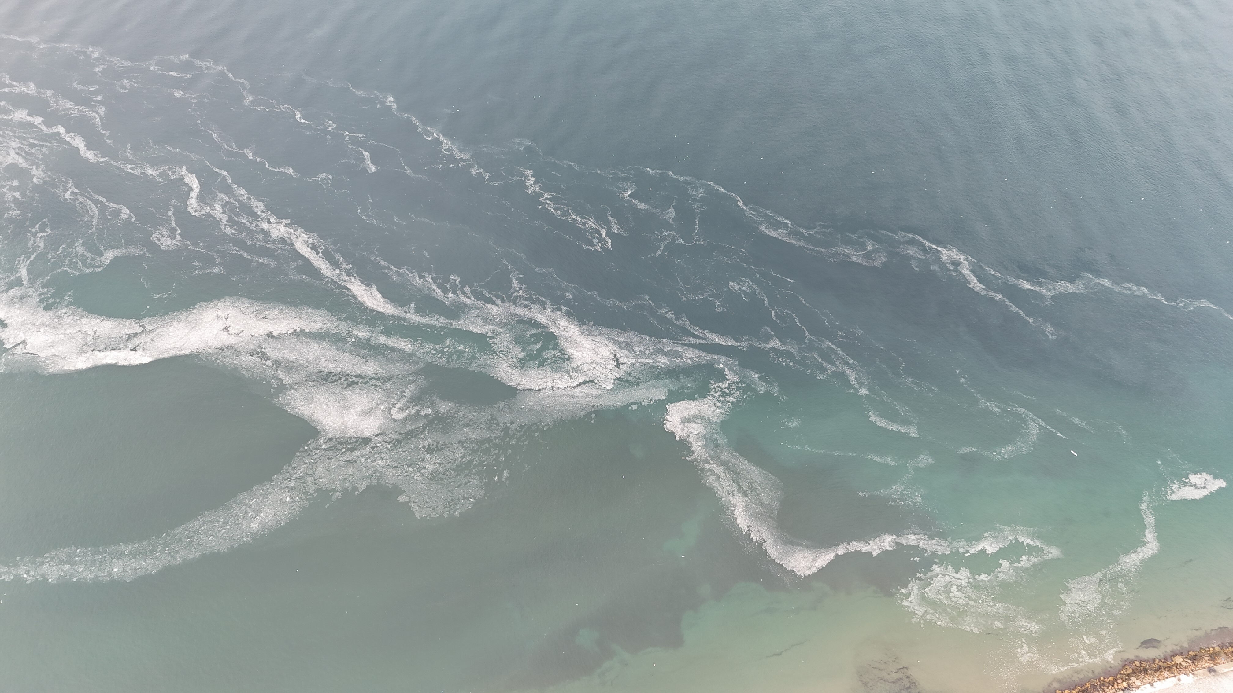 Marmara'nın kâbusu geri döndü! Kaydedilen görüntü korkuttu Marmara'nın kabusu geri döndü! Kaydedilen görüntü korkuttu - 1. Resim
