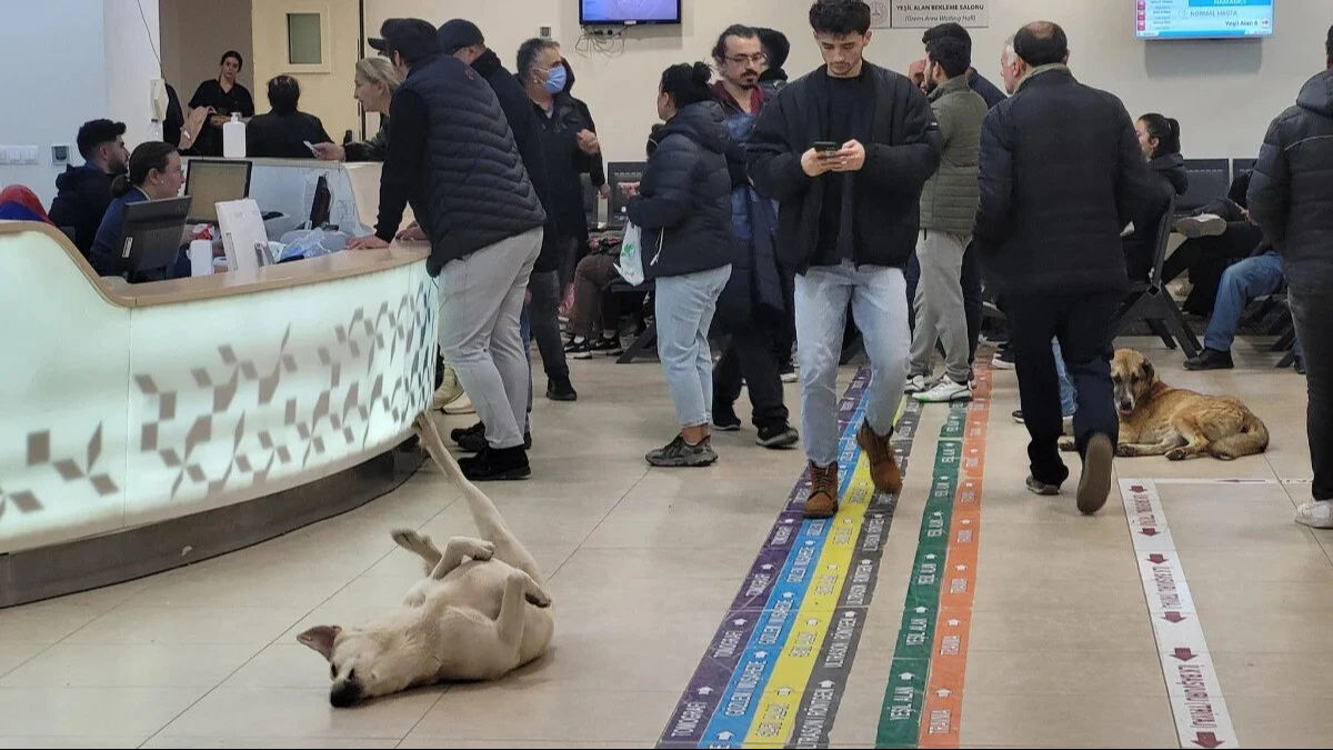 Sağlık Bakanlığı şikayetler üzerine harekete geçti! 81 ile yazı gönderildi - 1. Resim