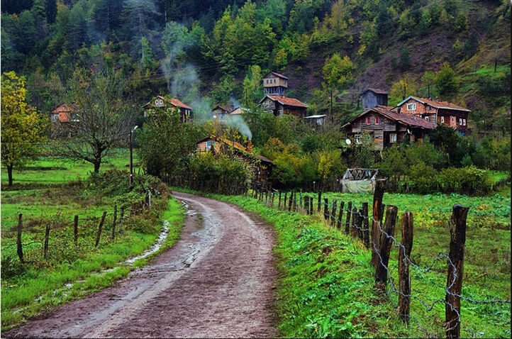 Türkiye nüfusu alarm veriyor! Tehlike büyük, erkekler evlenmiyor... - 1. Resim