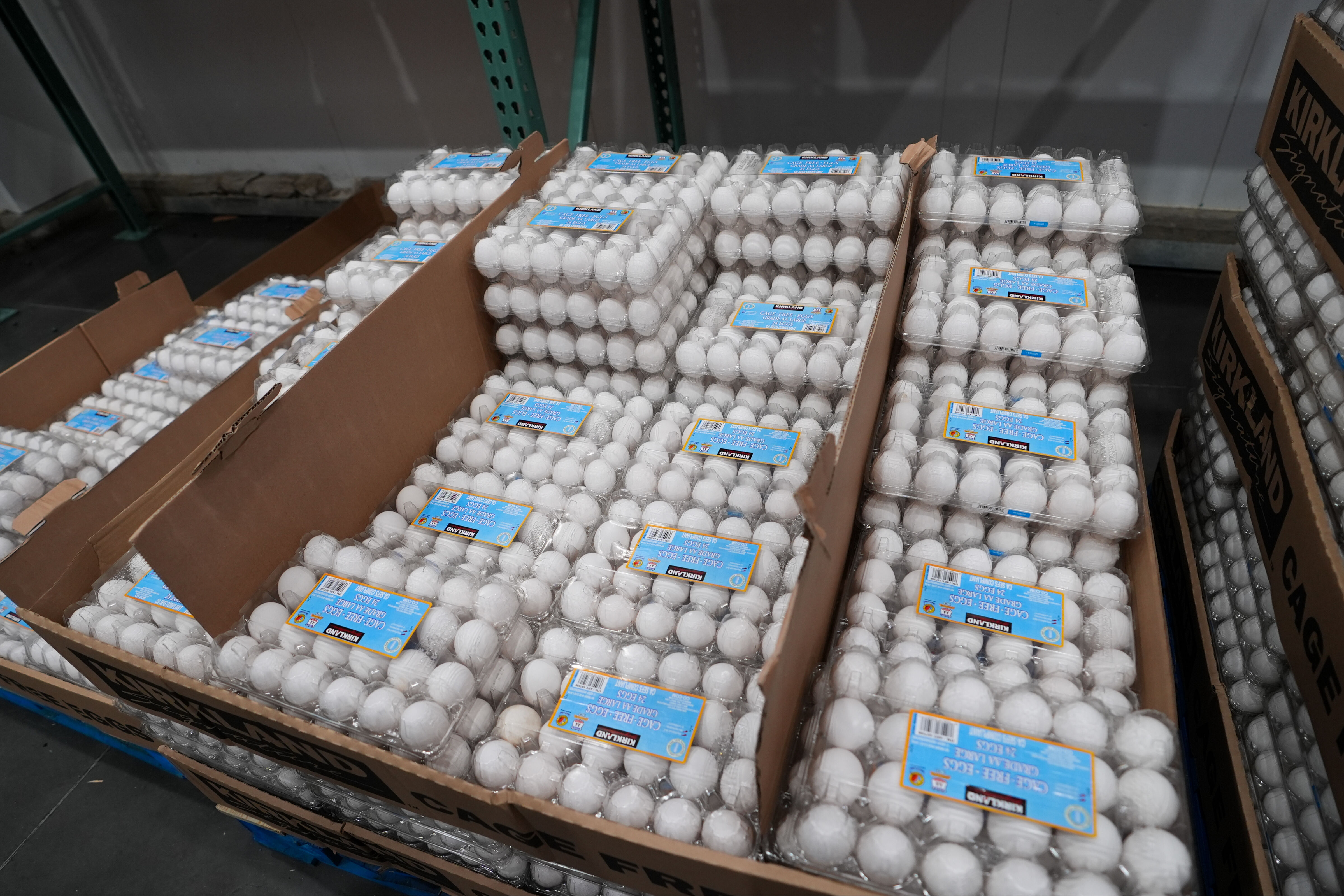 ABD'de kuş gribi alarmı! Milyonlarca tavuk itlaf edildi, yumurta fiyatları uçtu ABD'de kuş gribi alarmı! Milyonlarca tavuk itlaf edildi, yumurta fiyatları tavan yaptı - 5. Resim