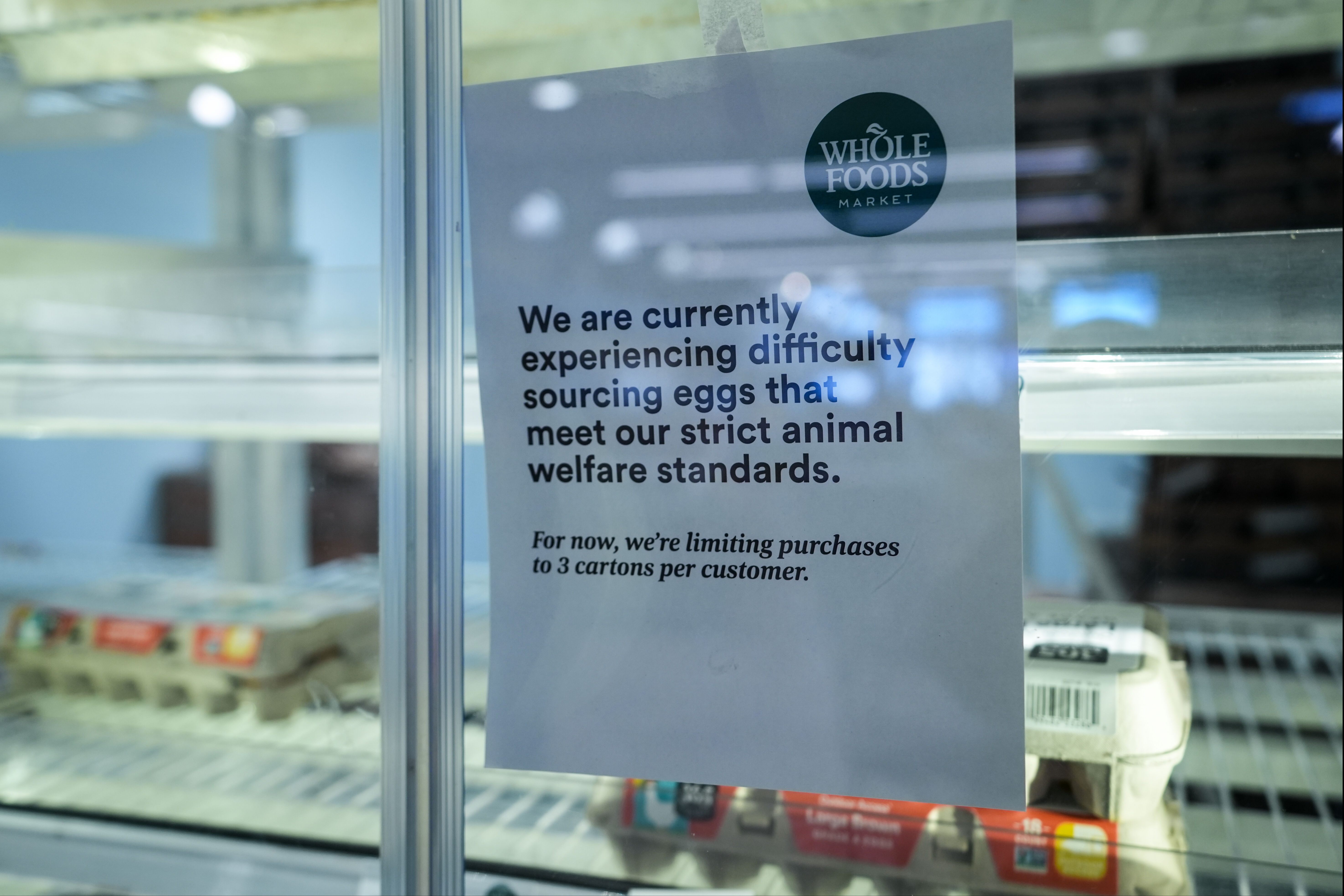 ABD'de kuş gribi alarmı! Milyonlarca tavuk itlaf edildi, yumurta fiyatları uçtu ABD'de kuş gribi alarmı! Milyonlarca tavuk itlaf edildi, yumurta fiyatları tavan yaptı - 3. Resim