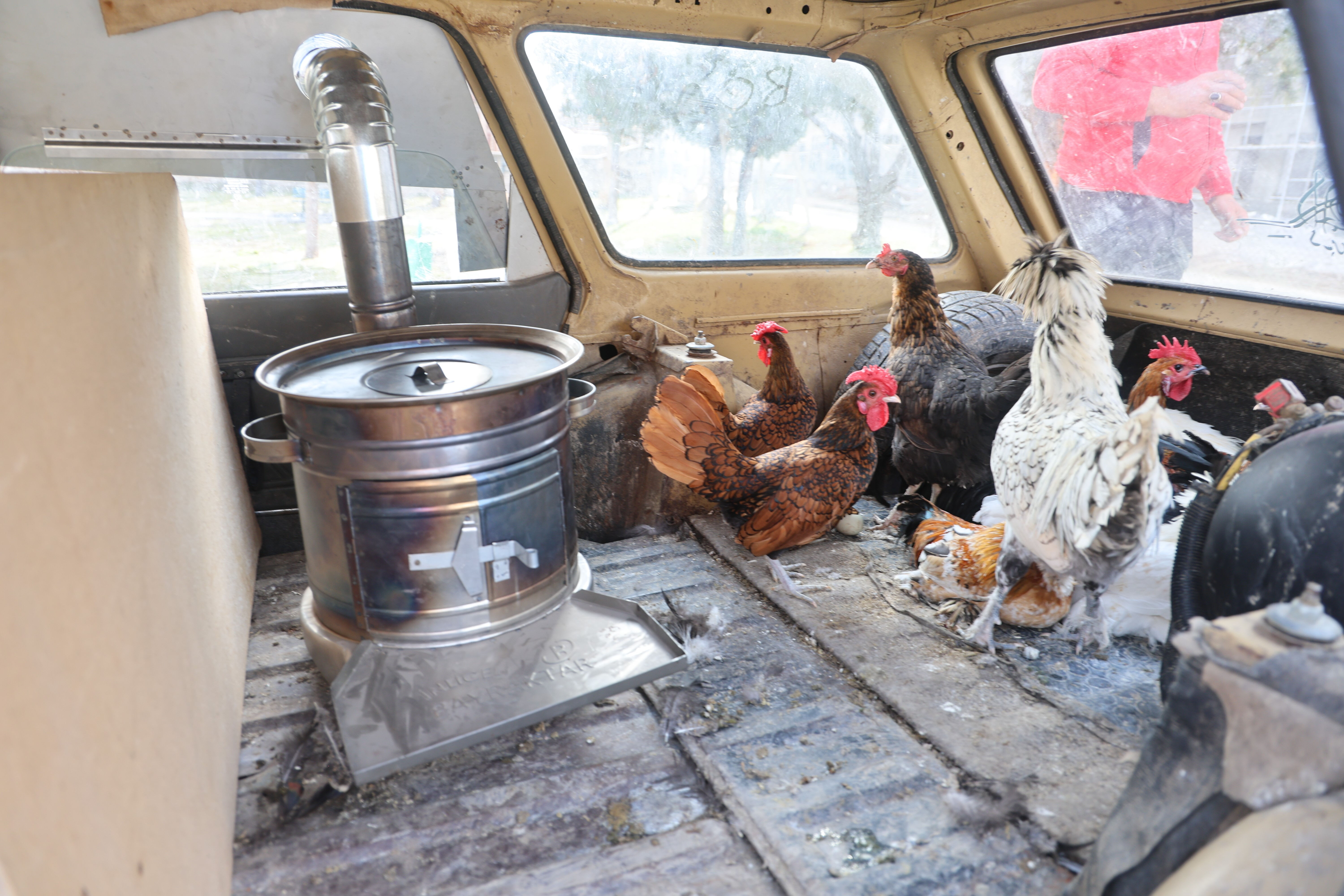 Ger&ccedil;ekten gezen tavuk! &Uuml;ş&uuml;mesinler diye otomobiline soba kuran yumurtacı: Hayvanlarımı &ccedil;ok seviyorum - 2. Resim