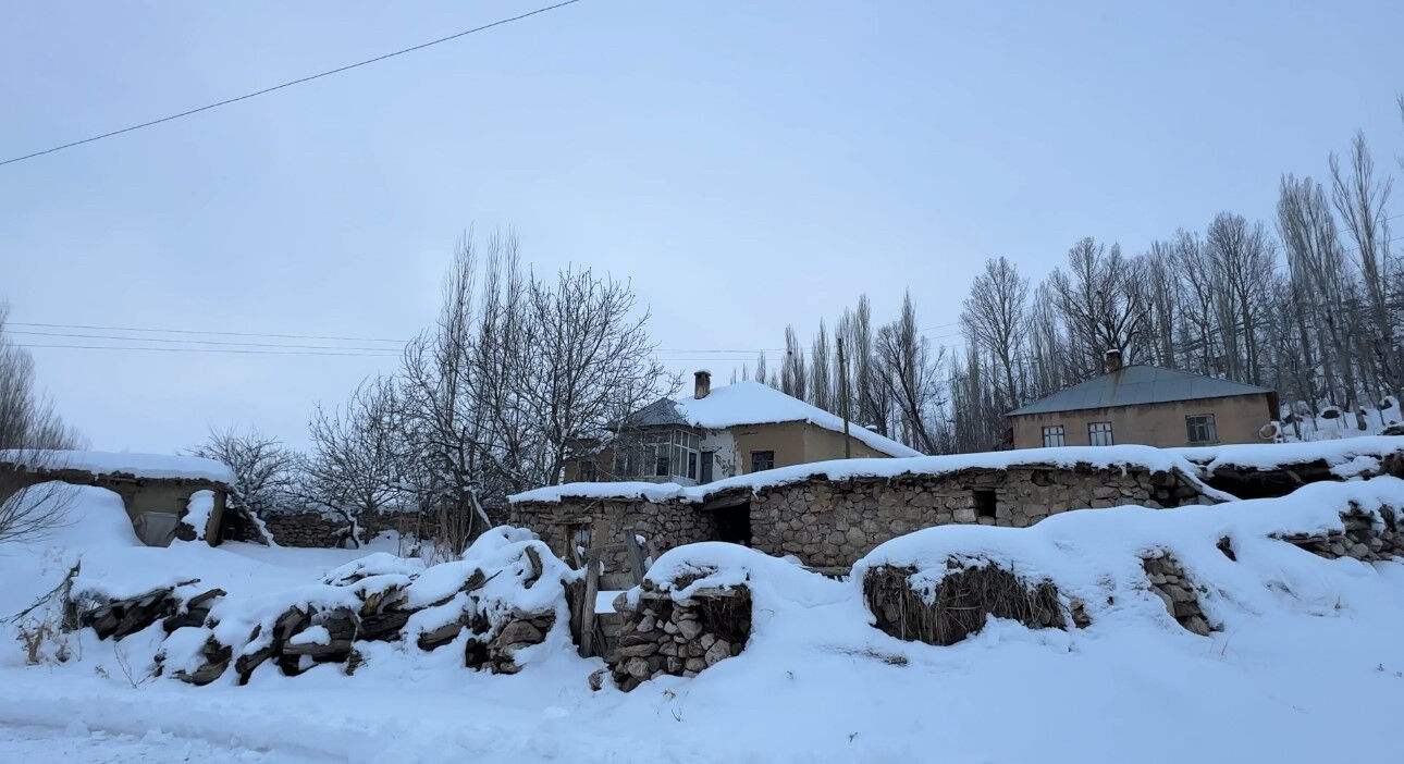 4 ay boyunca tek başına köyde mahsur kaldı: Şilan'ı 'makarna' hayatta tuttu - 6. Resim