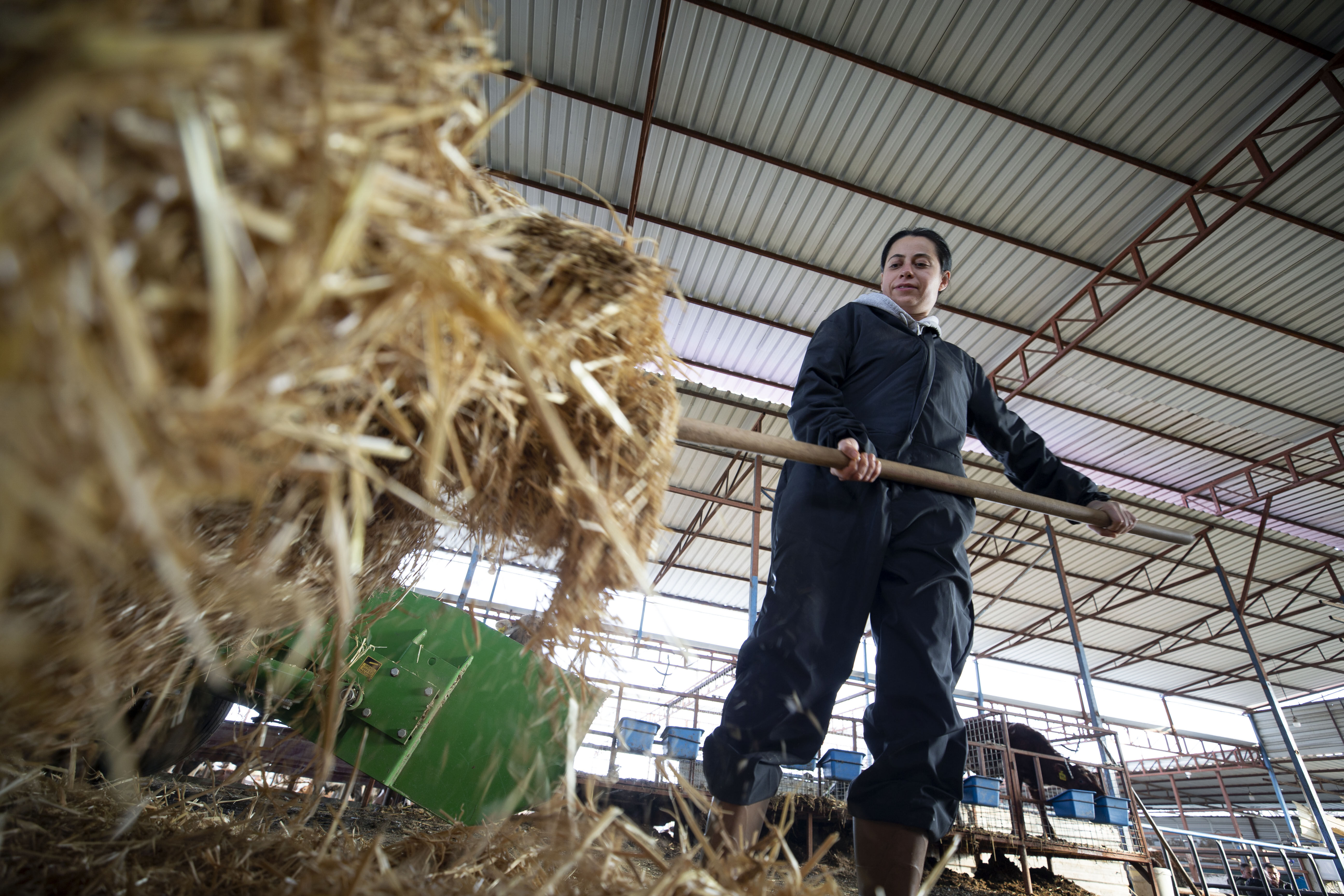 Havacılık sektörünü bırakıp çiftçi oldu! 'Yapamazsın' denileni yaparak devasa bir çiftlik kurdu - 3. Resim