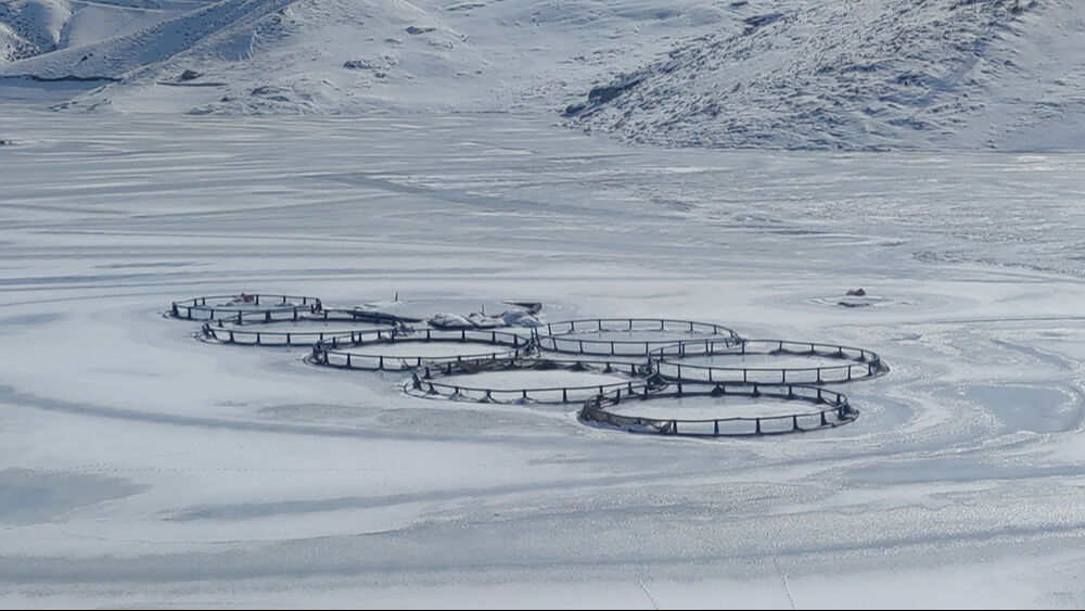 Lapa lapa kar yağdı, yollar kapandı! 6 ilde alarm verildi, 172 yolda ulaşım yok Lapa lapa yağdı, yollar kapandı! 6 ilde alarm verildi, 172 yolda ulaşım yok - 1. Resim