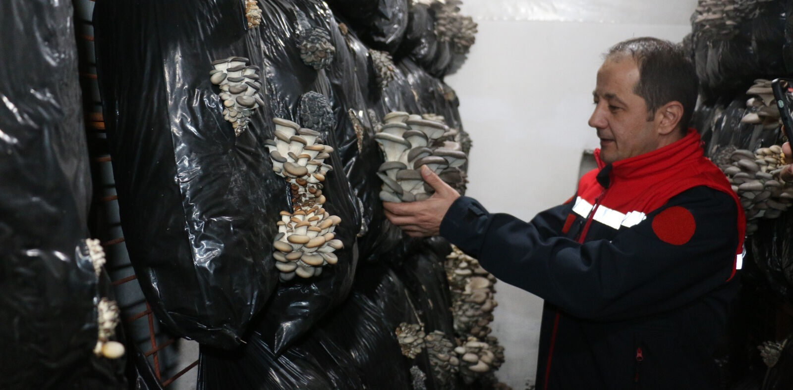 'Alternatif' olarak üretiliyor! Evin alt katında başladılar, yatırımı büyütecekler - 1. Resim