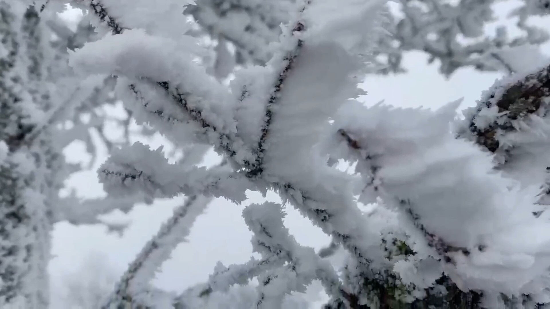 Bir mahalle, iki mevsim! Aralarında çok kısa mesafe var, görenler şaşkına dönüyor Bir mahalle, iki mevsim! Aralarında çok kısa mesafe var, görenler şaşkına dönüyor - 2. Resim