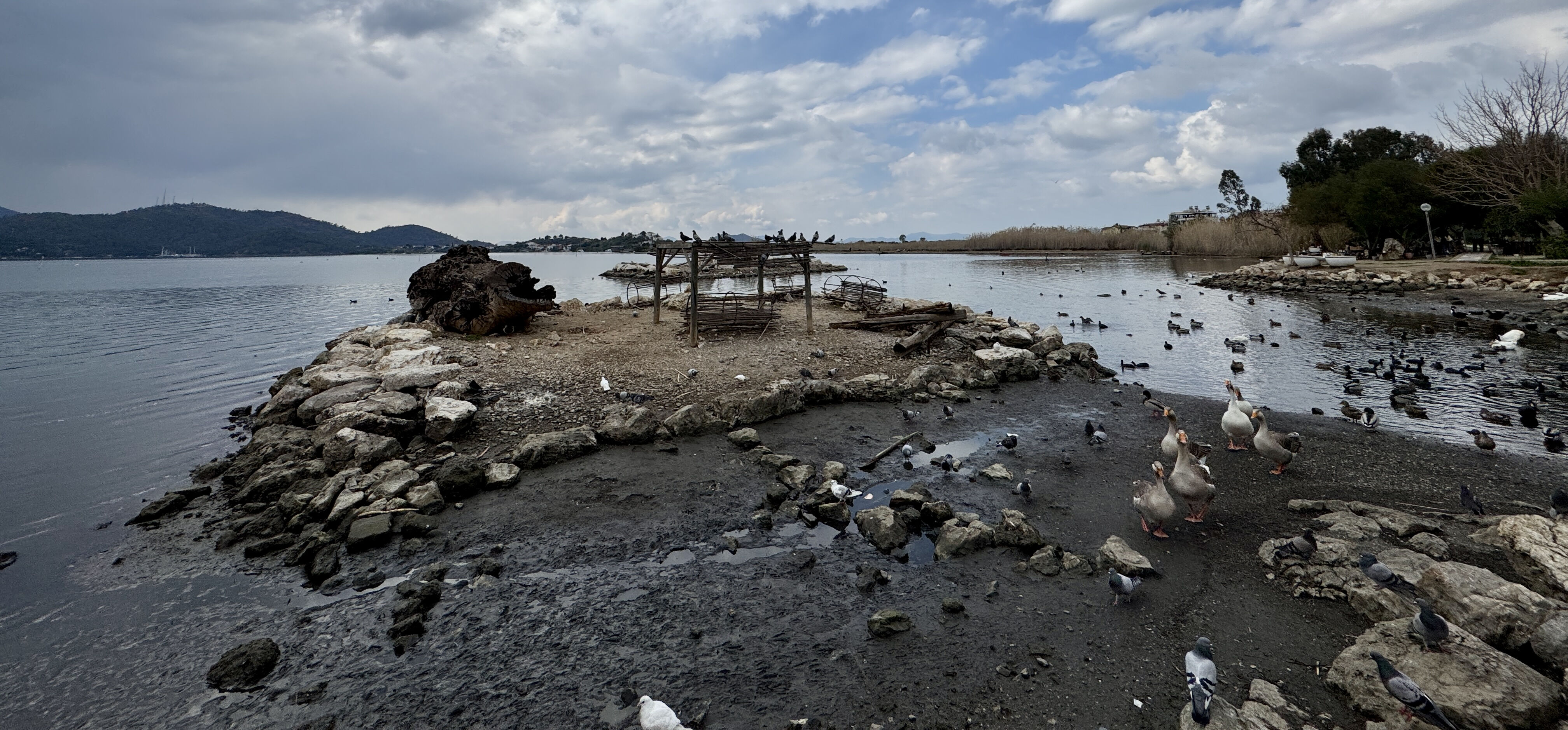 İki ilçede panik anları! Deniz suyunun çekilmesi deprem habercisi mi? - 1. Resim