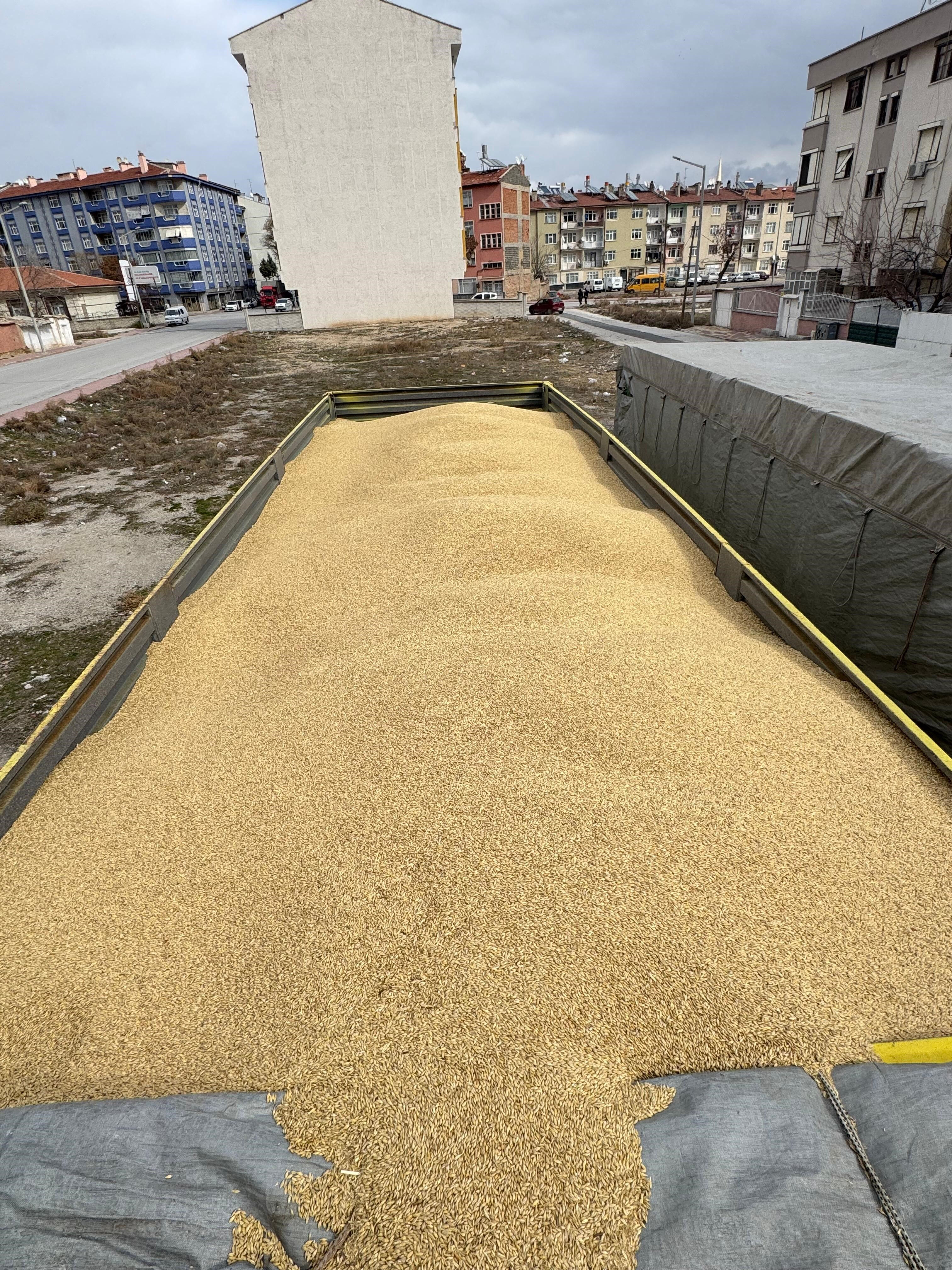 İş yerinden 250 ton ürün çalan bekçiden skandal savunma! ''Şeytana uydum'' İş yerinden 250 ton ürün çalan bekçiden skandal savunma! ''Şeytana uydum'' - 1. Resim