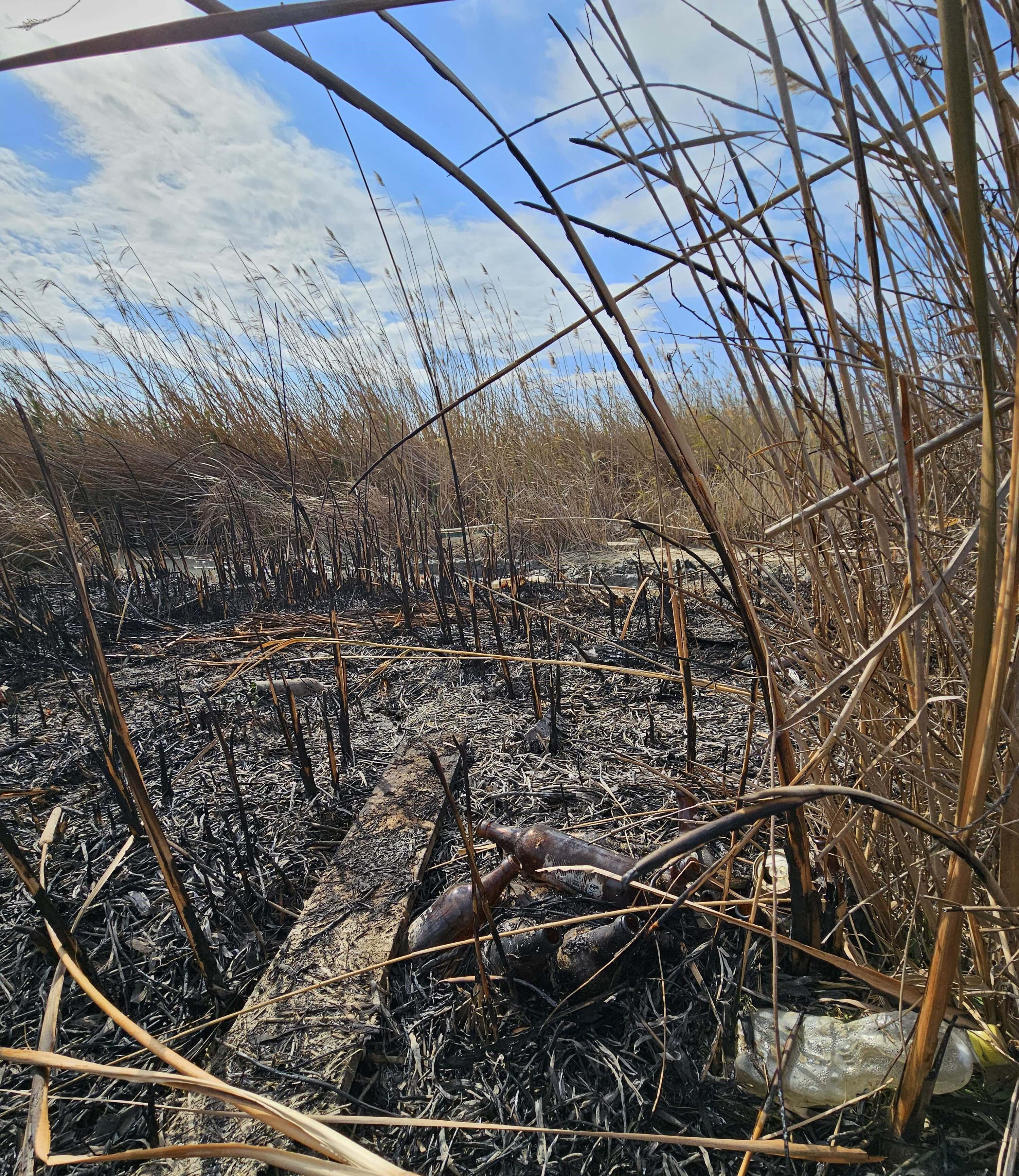 Kuş cenneti alev alev yandı! Bin dönümlük arazi küle döndü - 1. Resim