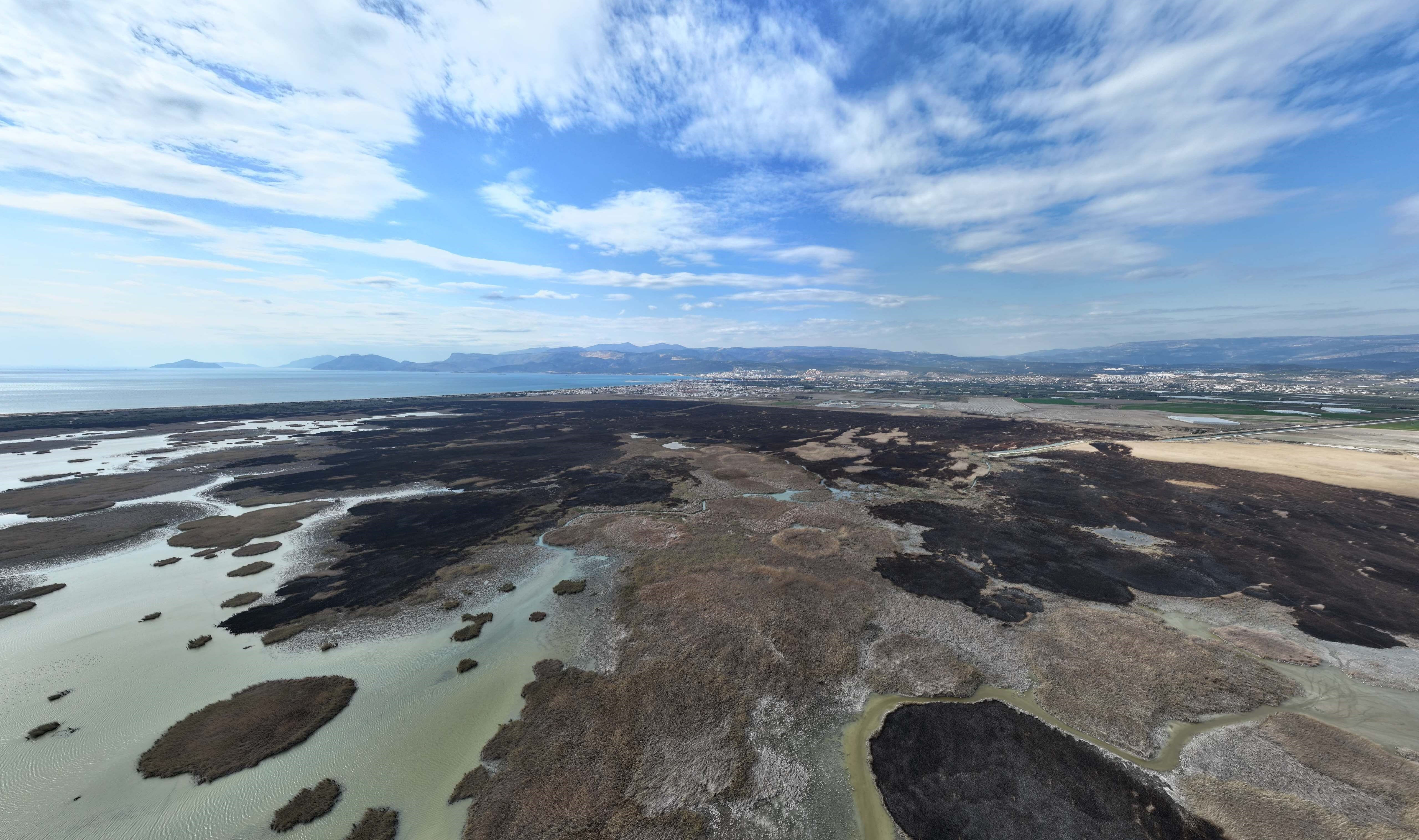 Kuş cenneti alev alev yandı! Bin dönümlük arazi küle döndü - 3. Resim