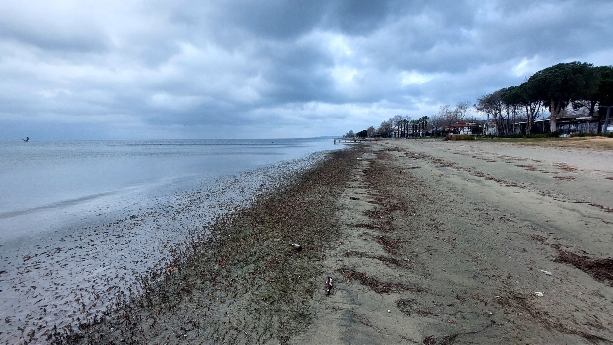 Türkiye'nin dört bir yanında panik! Deniz suyunun çekilmesi deprem habercisi mi? - 5. Resim