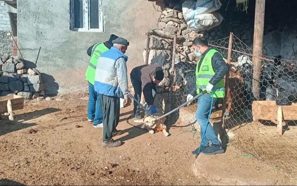 Bir köy karantinada! Köpek 3 kişiyi ısırdı, kuduz alarmı verildi - 2. Resim