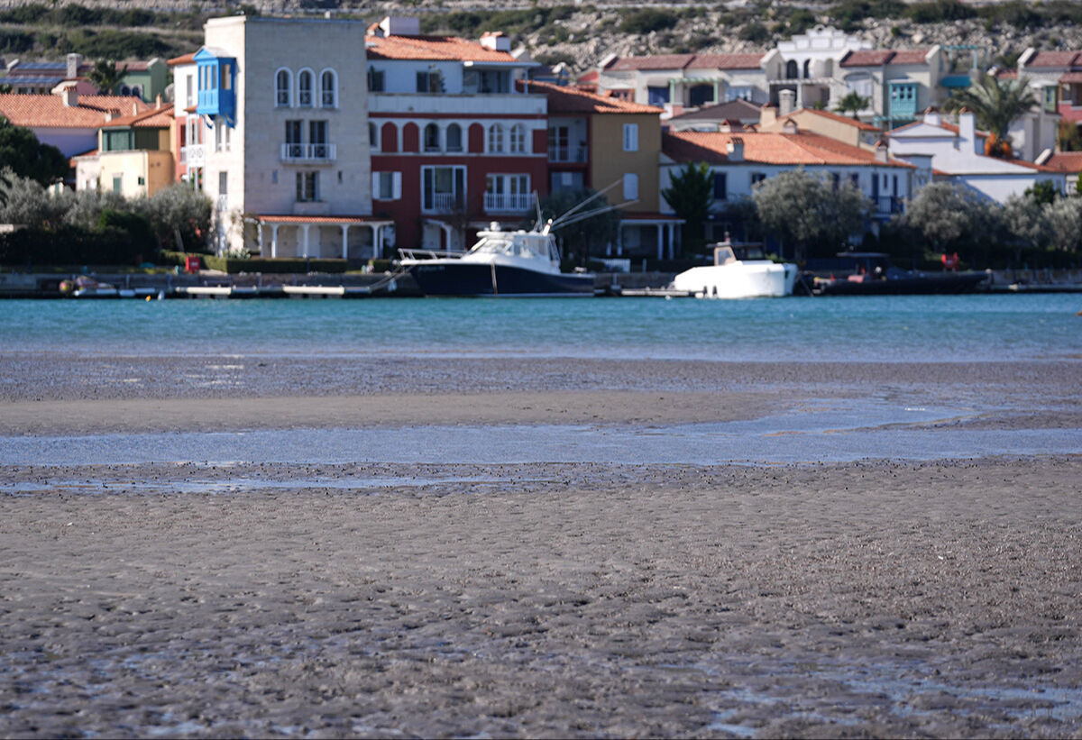 Ege Denizi'nde neler oluyor? Böyle bir şey yıllardır görülmedi... İzmir ve Aydın'da deniz 300 metre çekildi Ege Denizi'nde neler oluyor? Böyle bir şey yıllardır görülmedi... İzmir ve Aydın'da deniz 300 metre çekildi - 1. Resim