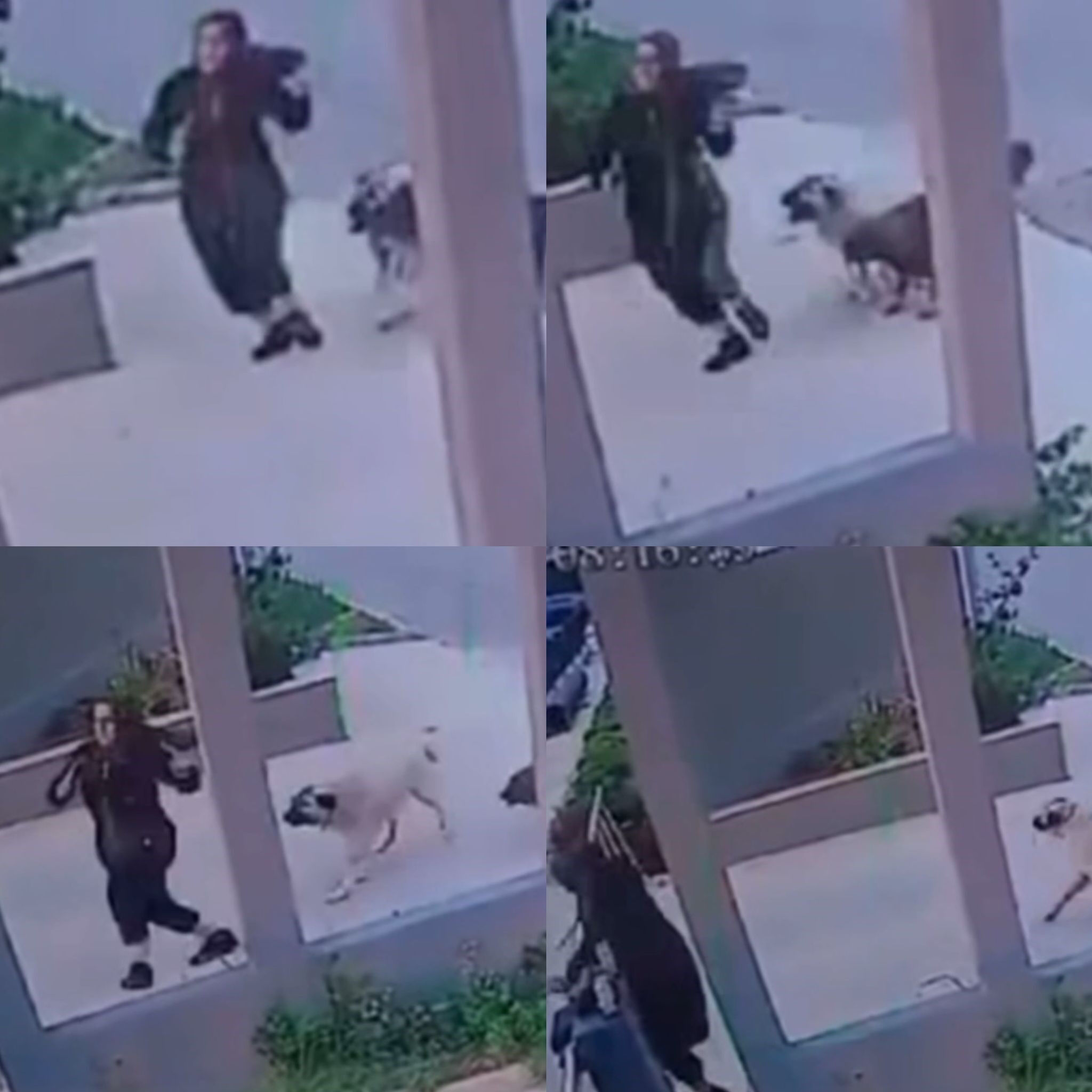 Mersin'de dehşete düşüren görüntüler! Sokak köpeklerinden kaçan kadın bariyerlere çarptı, o anlar kameralara yansıdı - 1. Resim