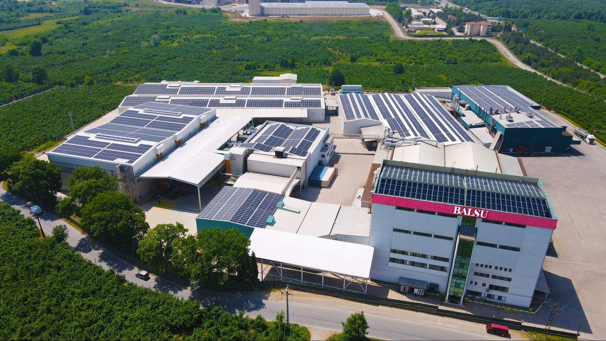 Türk fındığı yatırımcılarla buluşuyor! Halka arz için geri sayım başladı - 1. Resim