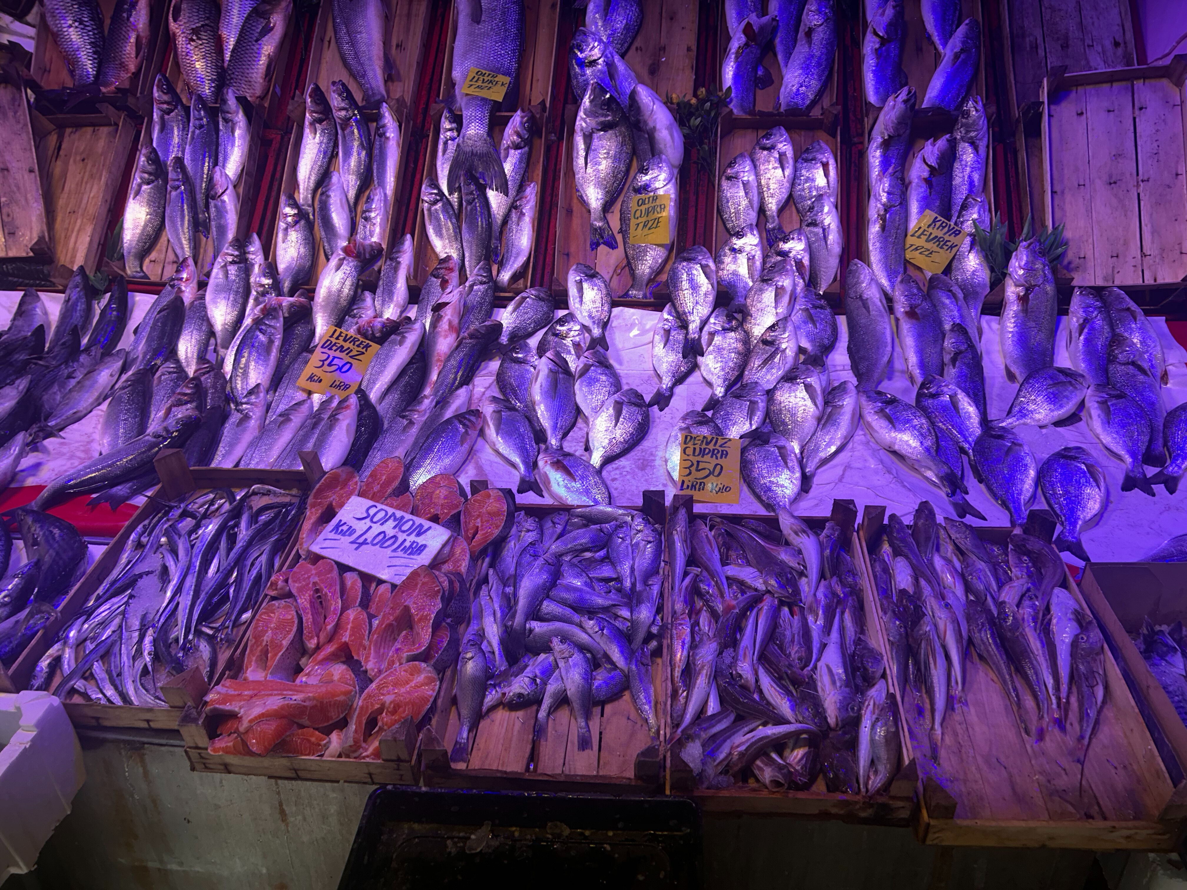 Soğuk hava balık tezgahlarını vurdu! Hamsinin fiyatı 4 kat arttı Soğuk hava balık tezgahlarını vurdu! Hamsinin fiyatı 4 kat arttı - 2. Resim