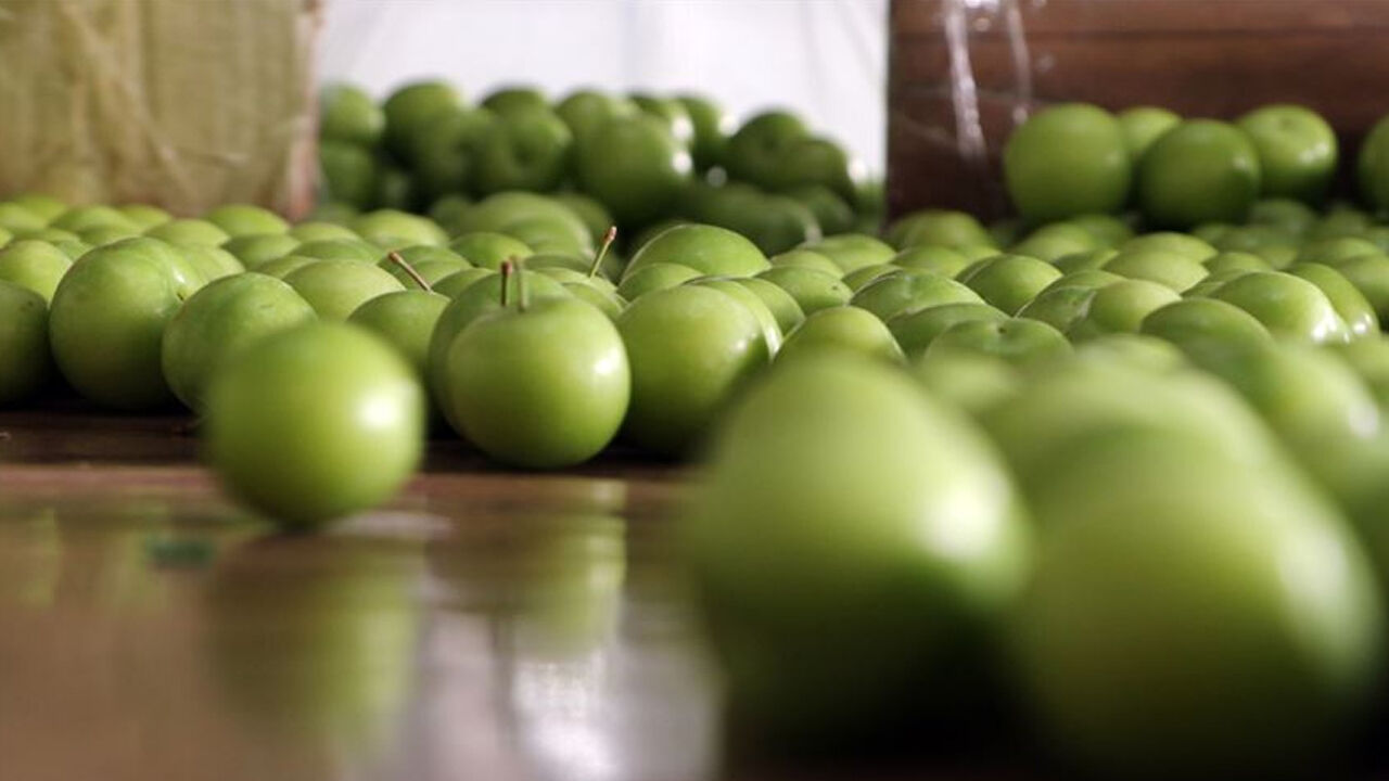 Tezgahlarda yerini aldı, fiyatıyla dudak uçuklattı! Artık gramla değil taneyle satılıyor Tezgahlarda yerini aldı, fiyatıyla dudak uçuklattı! Artık gramla değil taneyle satılıyor - 1. Resim