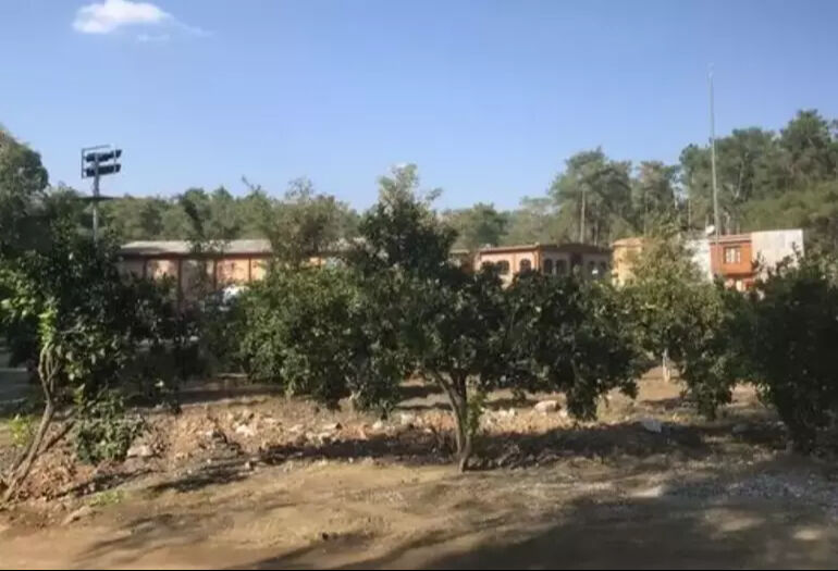 Ünlü oyuncu Yılmaz Erdoğan başkan oldu! Yönetimde Caner Erkin ve Şükran Ovalı da var.... - 3. Resim