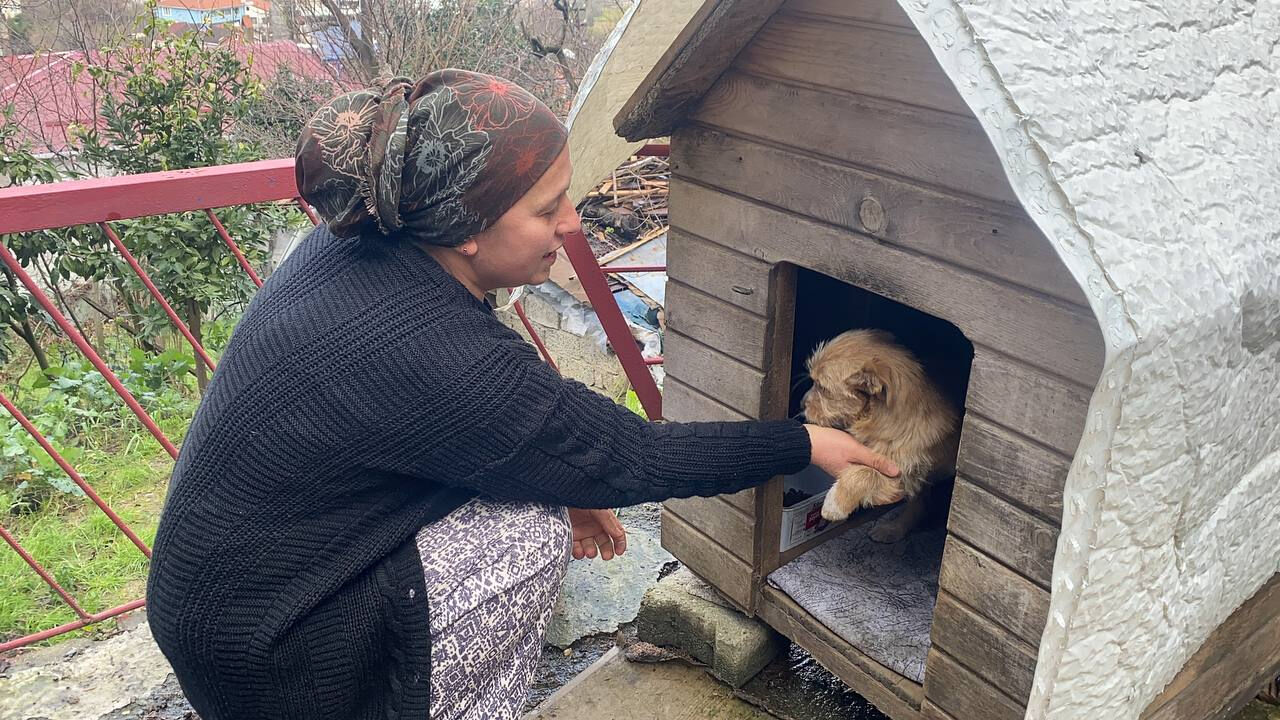 Vicdansızca çöp konteynırının yanına terk edilmişti! Yeni yuvasına kavuştu: Sahibi de gelse artık alamaz Vicdansızca çöp konteynırının yanına terk edilmişti! Yeni yuvasına kavuştu: Sahibi de gelse artık alamaz - 2. Resim