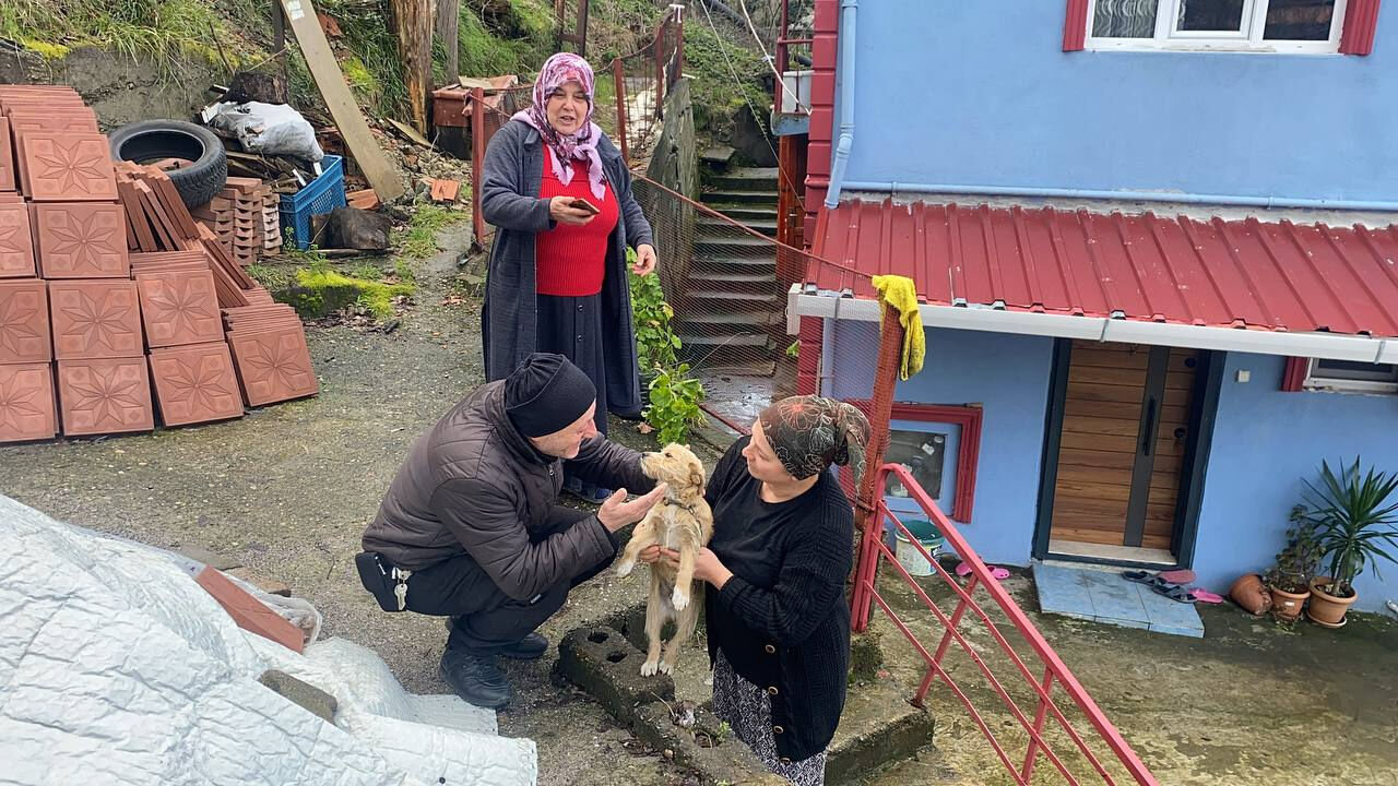 Vicdansızca çöp konteynırının yanına terk edilmişti! Yeni yuvasına kavuştu: Sahibi de gelse artık alamaz Vicdansızca çöp konteynırının yanına terk edilmişti! Yeni yuvasına kavuştu: Sahibi de gelse artık alamaz - 3. Resim