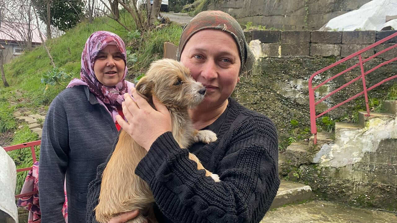 Vicdansızca çöp konteynırının yanına terk edilmişti! Yeni yuvasına kavuştu: Sahibi de gelse artık alamaz Vicdansızca çöp konteynırının yanına terk edilmişti! Yeni yuvasına kavuştu: Sahibi de gelse artık alamaz - 1. Resim