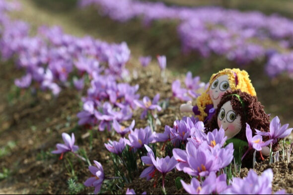 2025 cemreler ne zaman düşüyor? İşte havaya, suya ve toprağa düşecek cemre tarihleri 2025 cemreler ne zaman düşüyor? İşte havaya, suya ve toprağa düşecek cemre tarihleri - 3. Resim