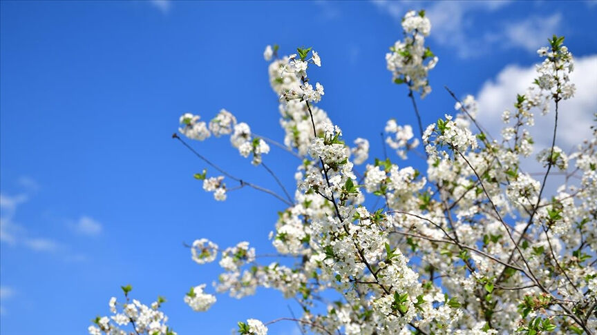 2025 cemreler ne zaman düşüyor? İşte havaya, suya ve toprağa düşecek cemre tarihleri 2025 cemreler ne zaman düşüyor? İşte havaya, suya ve toprağa düşecek cemre tarihleri - 2. Resim