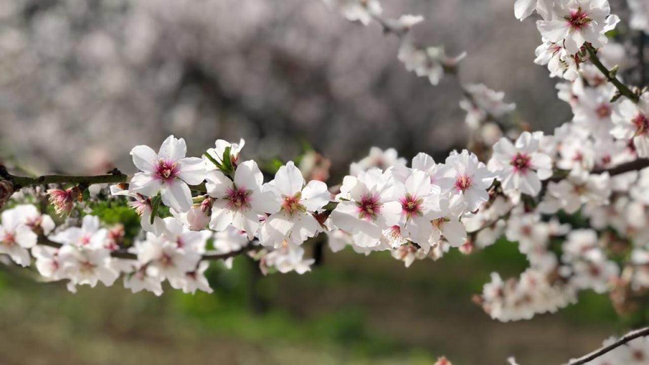 Cemre düşme tarihleri 2025: İlk Cemre ne zaman ve nereye düşecek, Cemre ne demek? - 4. Resim