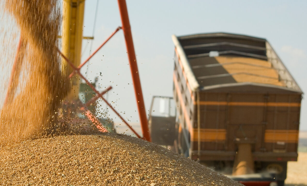Tahıl krizi kapıda! Dünya stoktan yiyecek, Çin'in ithalatı yüzde 30 düşecek Tahıl krizi kapıda! Dünya stoktan yiyecek, Çin'in ithalatı yüzde 30 düşecek - 1. Resim