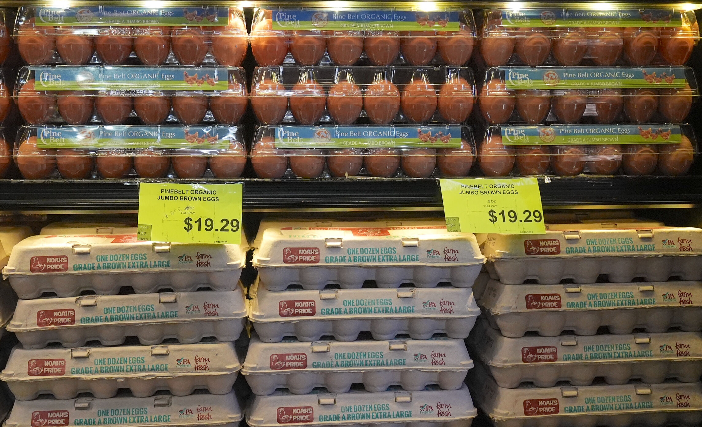 ABD, kuş gribi nedeniyle 15 bin ton yumurta alacak! Marketteki fiyatlar nasıl etkilenecek? - 3. Resim