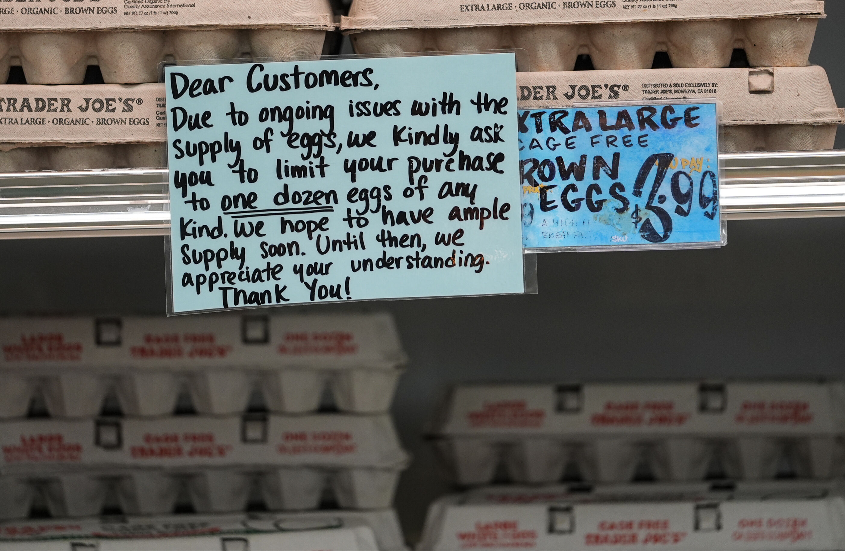 ABD, kuş gribi nedeniyle 15 bin ton yumurta alacak! Marketteki fiyatlar nasıl etkilenecek? - 1. Resim