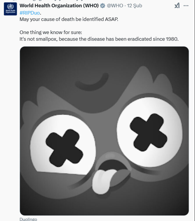 Duolingo baykuşu öldü mü, neden? Baykuş maskot Duo'nun ölümü araştırılıyor Duolingo baykuşu öldü mü, neden? Baykuş maskot Duo'nun ölümü araştırılıyor - 4. Resim