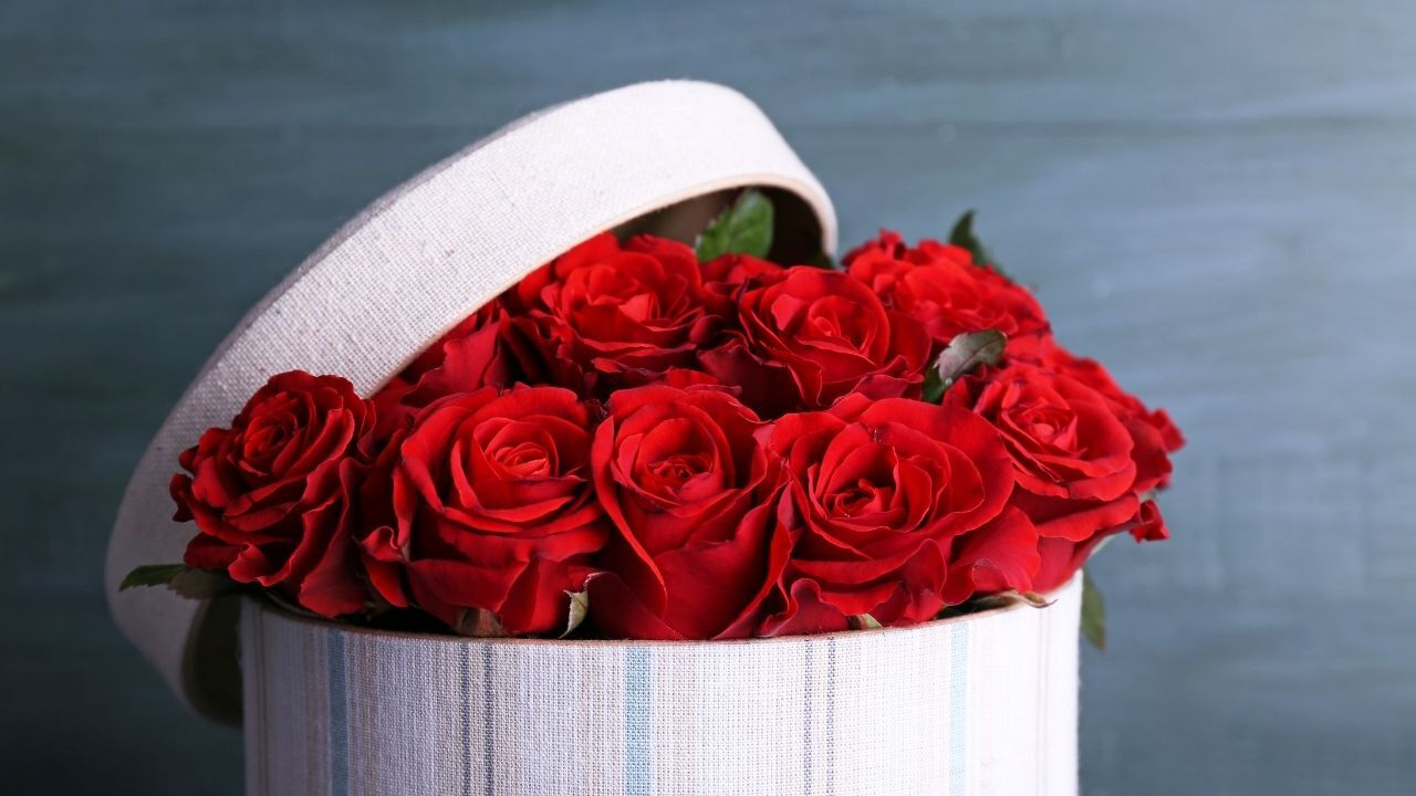 Gül fiyatları ne kadar?14 Şubat demet ve tane gül fiyatı - 2. Resim