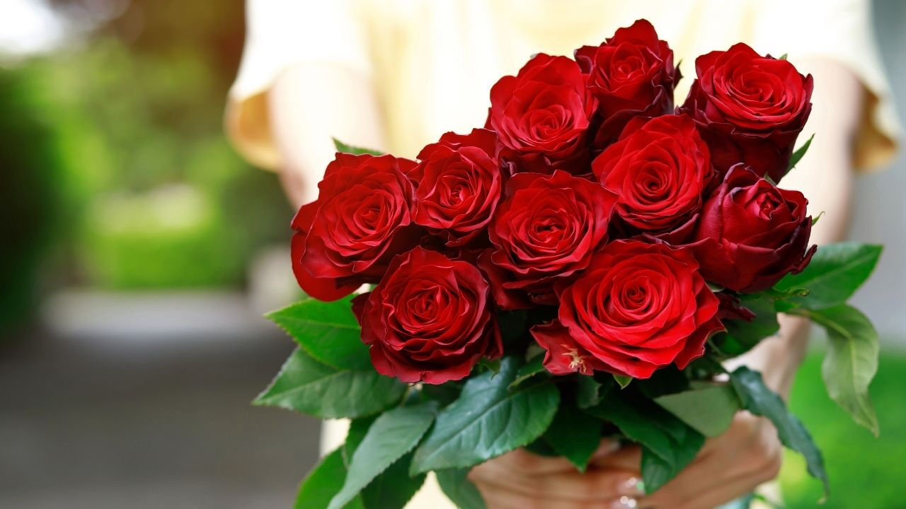 Gül fiyatları ne kadar?14 Şubat demet ve tane gül fiyatı - 1. Resim