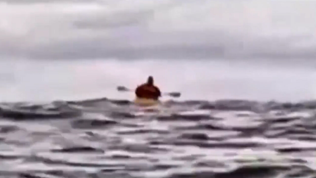 Kambur balina kanocuyu önce yuttu, sonra tükürdü! Hayrete düşüren o anlar... Kambur balina kanocuyu önce yuttu, sonra tükürdü! Hayrete düşüren o anlar... - 1. Resim