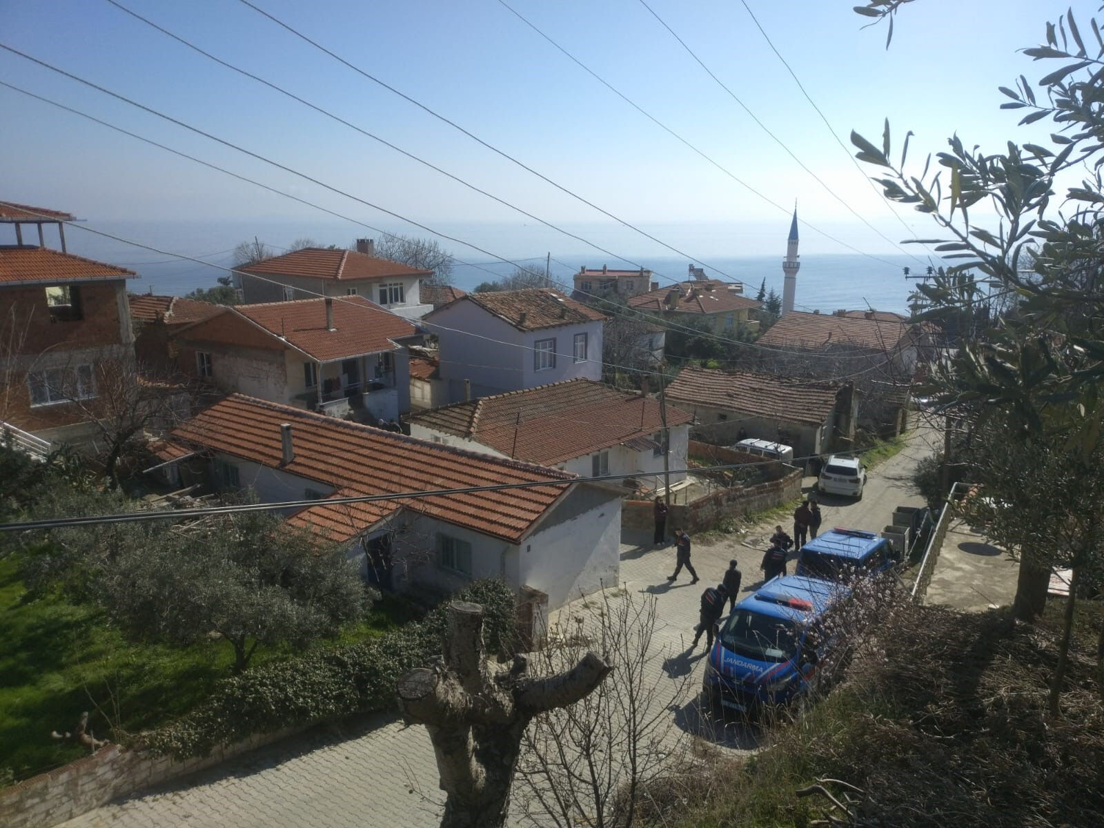 Zihinsel engelli kardeşlerin feci sonu! Acı olay dayılarının fark etmesiyle ortaya çıktı - 2. Resim