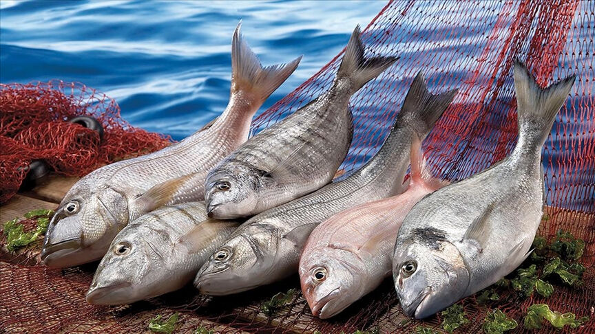 2024'te Türkiye ekonomisine 2 milyar dolar kazandırdı! İhracatta rekor kırdı - 1. Resim