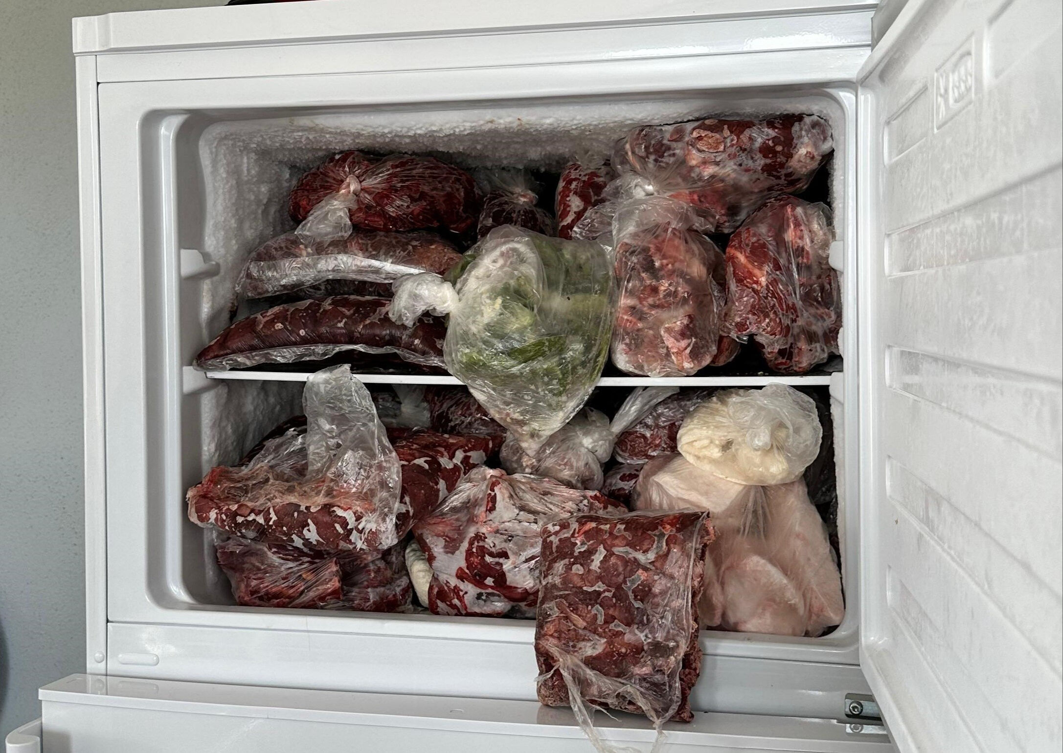 Avlayıp sucuk yaptı, hayatının şokunu yaşadı! Bedeli çok ağır oldu - 3. Resim