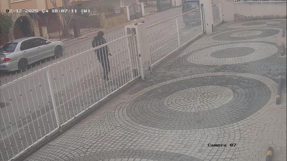 Cins kedisi kayboldu! Kameraları izleyince gözlerine inanamadı Cins kedisi kayboldu! Kameraları izleyince gözlerine inanamadı - 1. Resim