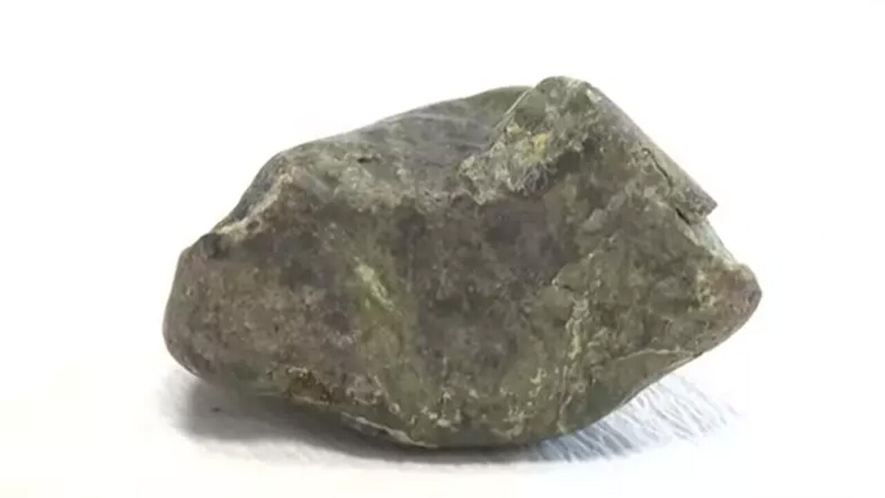 Gökten öğrencilerin başına düştü! Karganın getirdiği taşın ardındaki gerçek şoke etti - 1. Resim